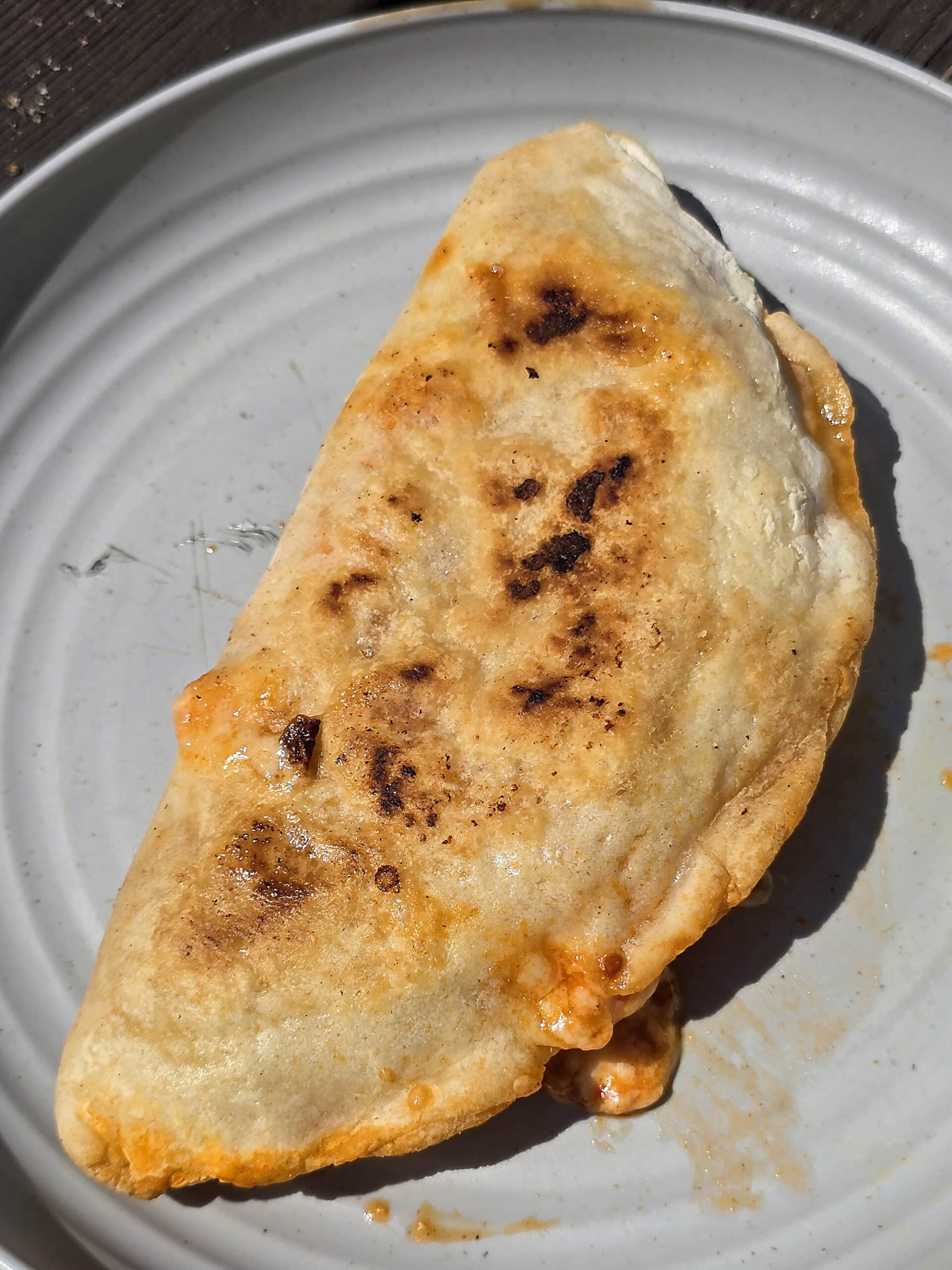 A grilled calzone on a plate.