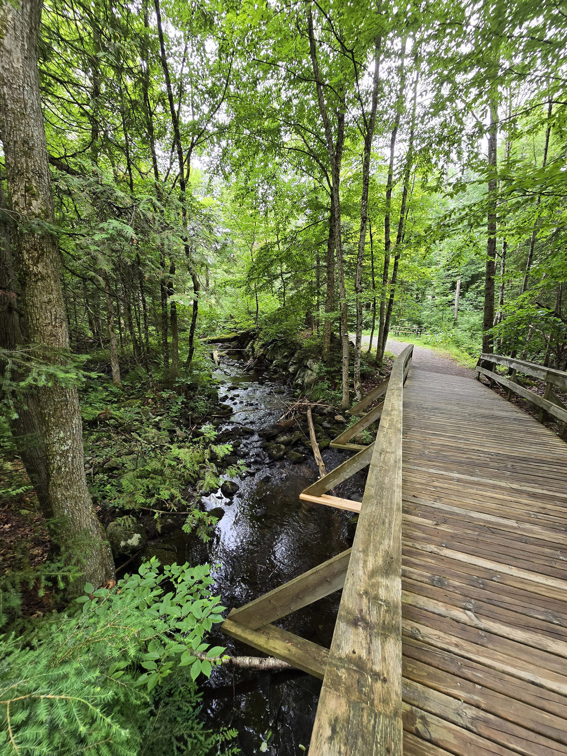 A boardwalk next to a stream in Silent Lake Provincial Park.