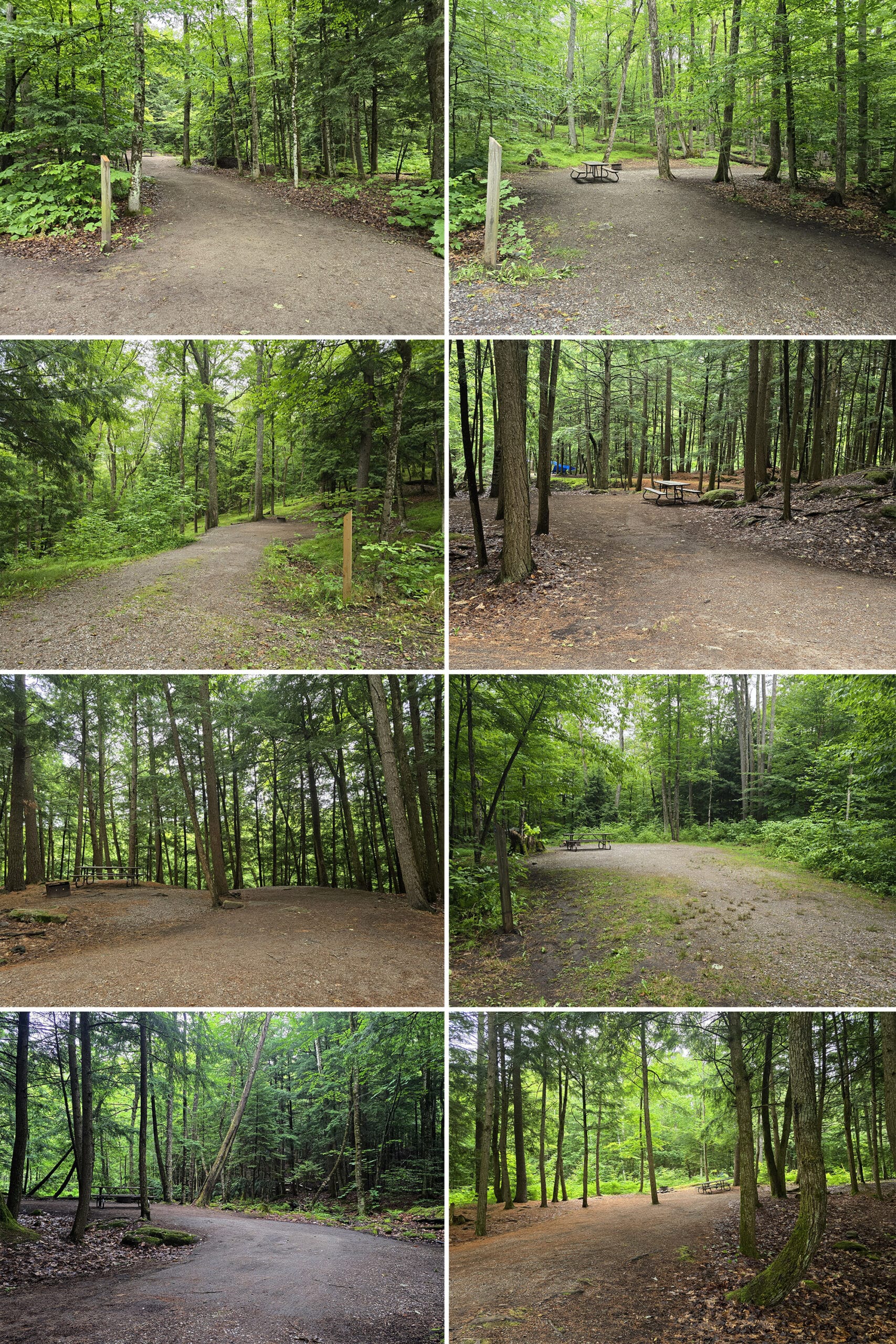 8 part image showing various Silent Lake Provincial Park campsites.