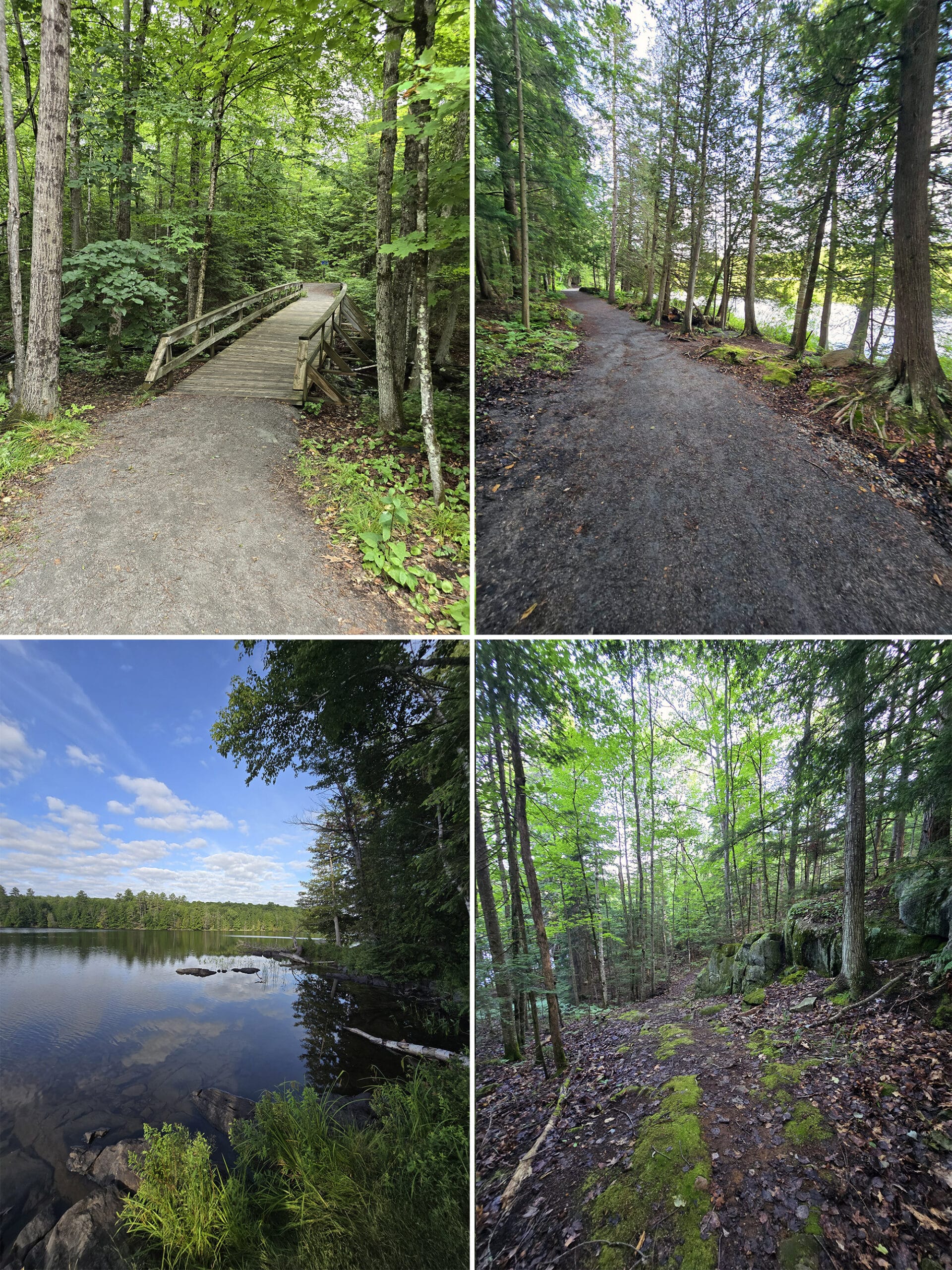 4 part image showing various views along the Lakehead Loop Trail at Silent Lake Provincial Park.