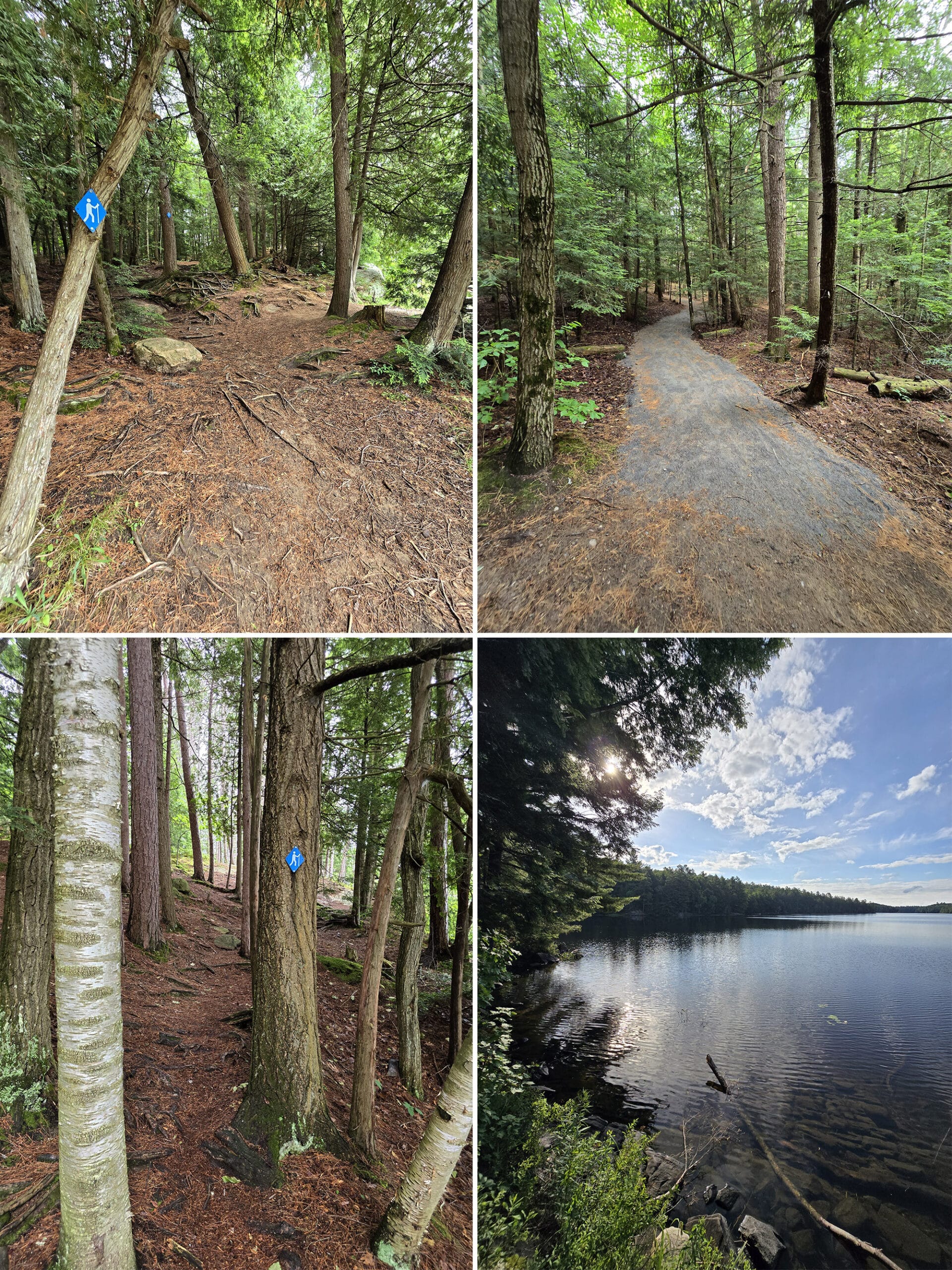 4 part image showing various views along the Lakeshore Trail at Silent Lake Provincial Park.