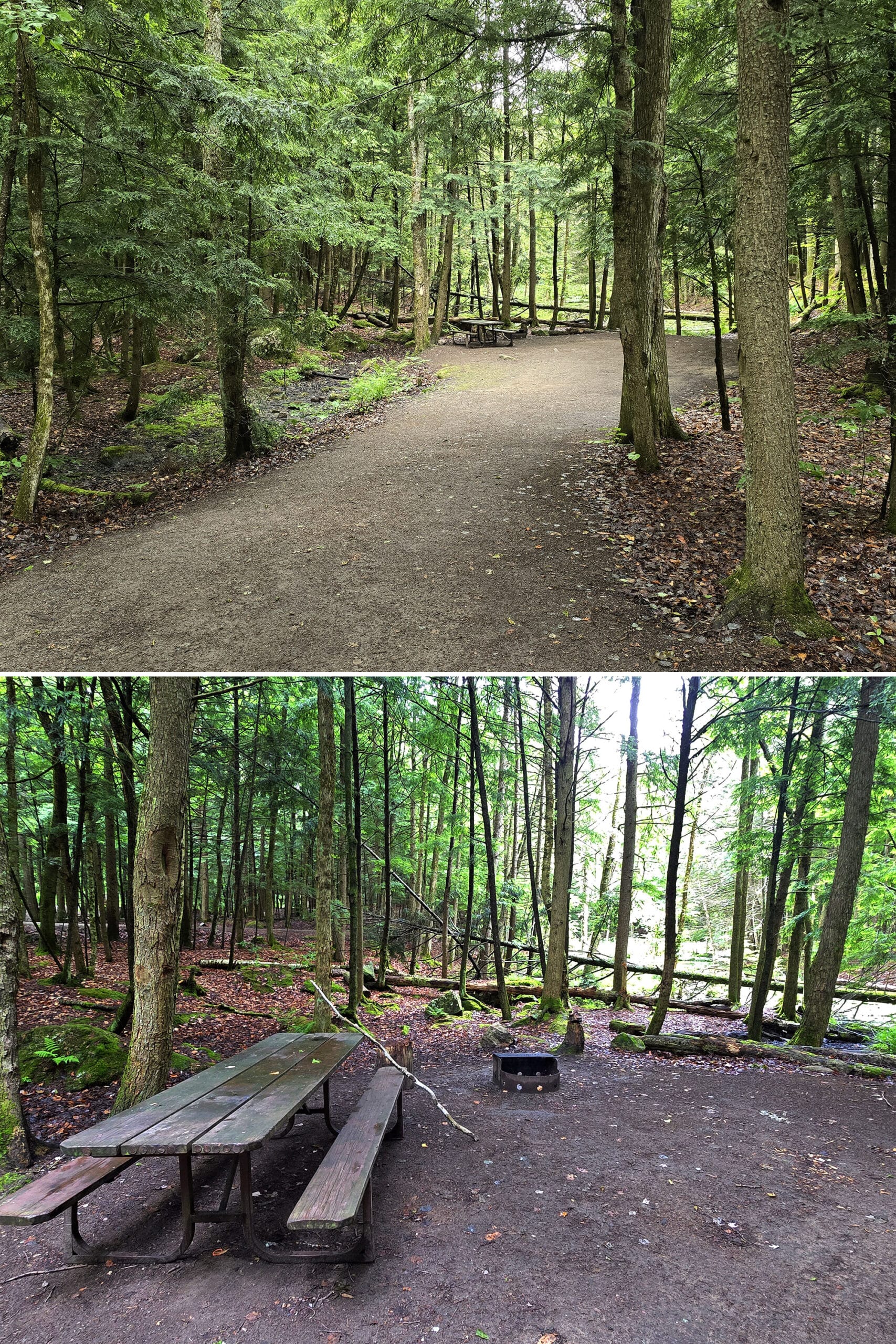 2 part image showing a campsite surrounded by lush green woods.