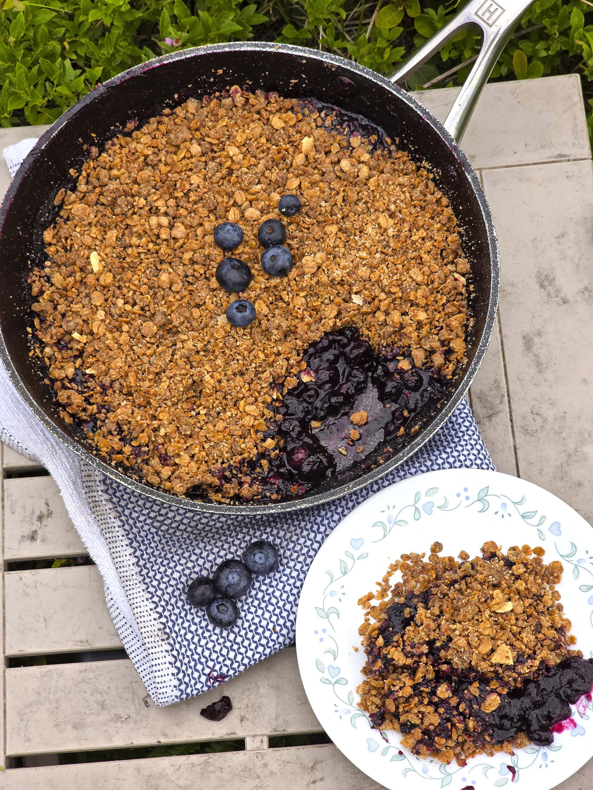 A pan of campfire blueberry crisp with a serving on a plate in front of it.