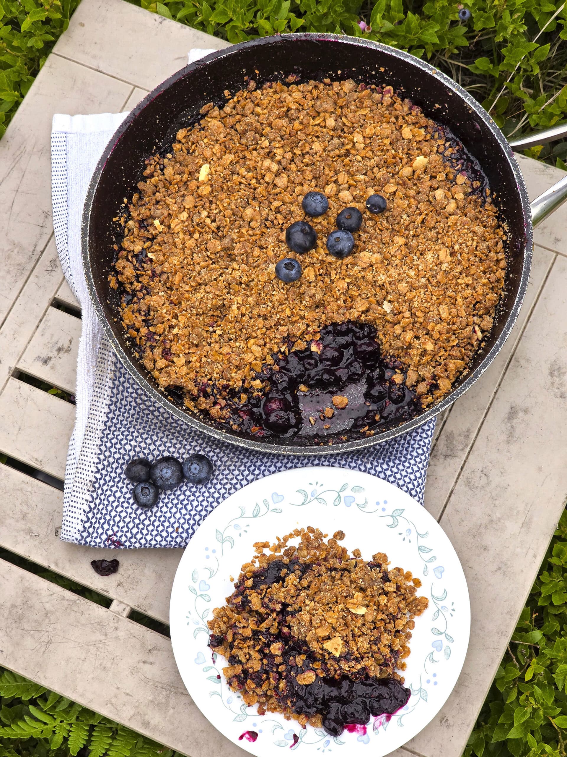 A pan of campfire blueberry crisp with a serving on a plate in front of it.