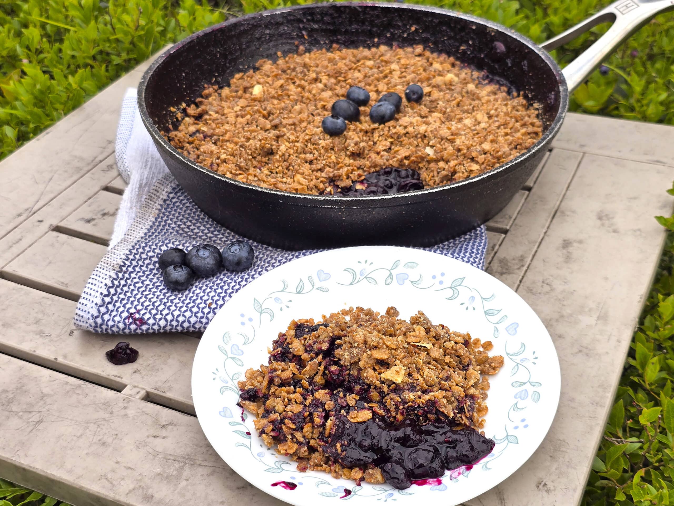 A pan of campfire blueberry crisp with a serving on a plate in front of it.