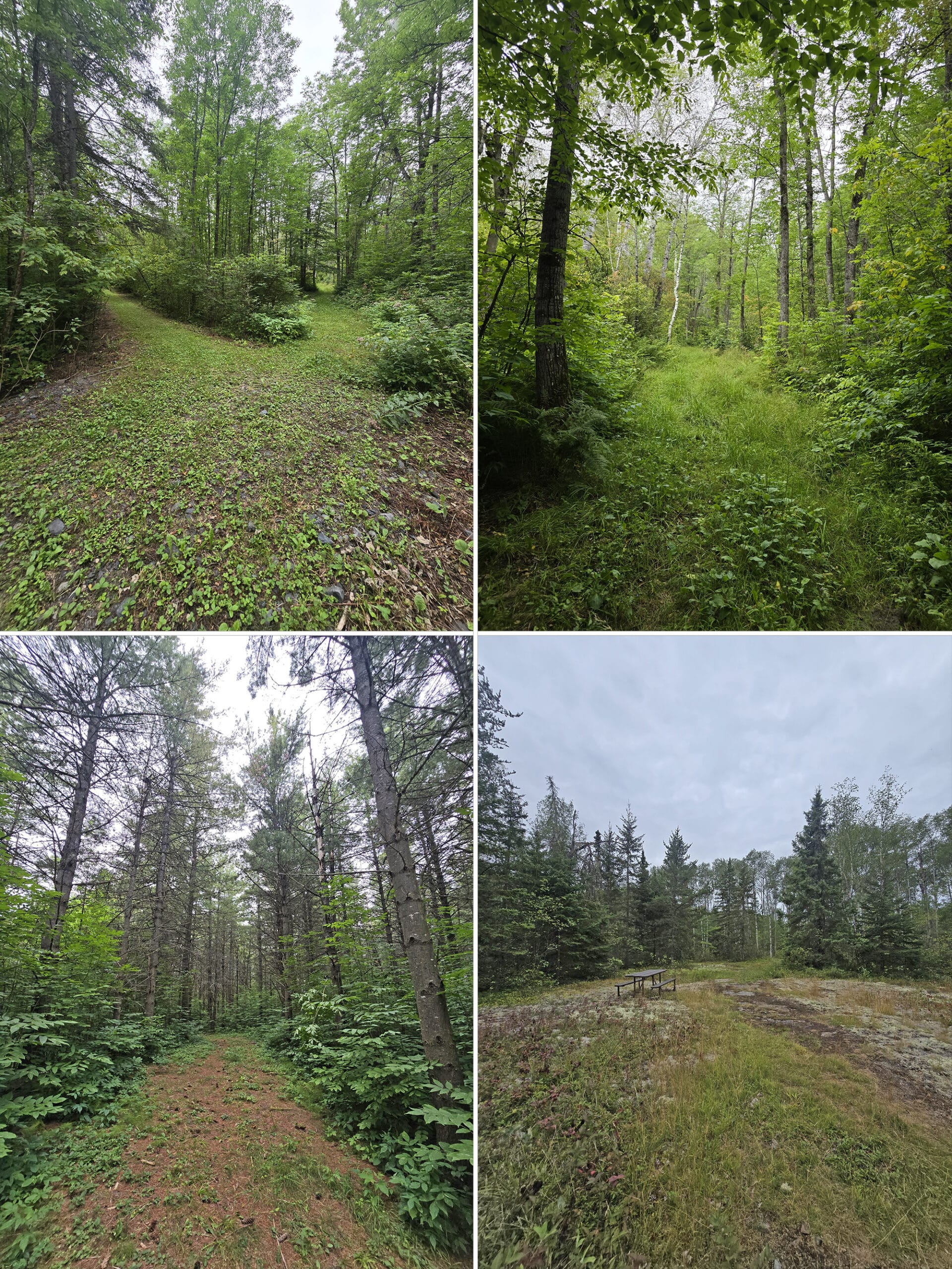 4 part image showing various views of the Upland Circle Trail in Kap-Kig-Iwan Provincial Park.