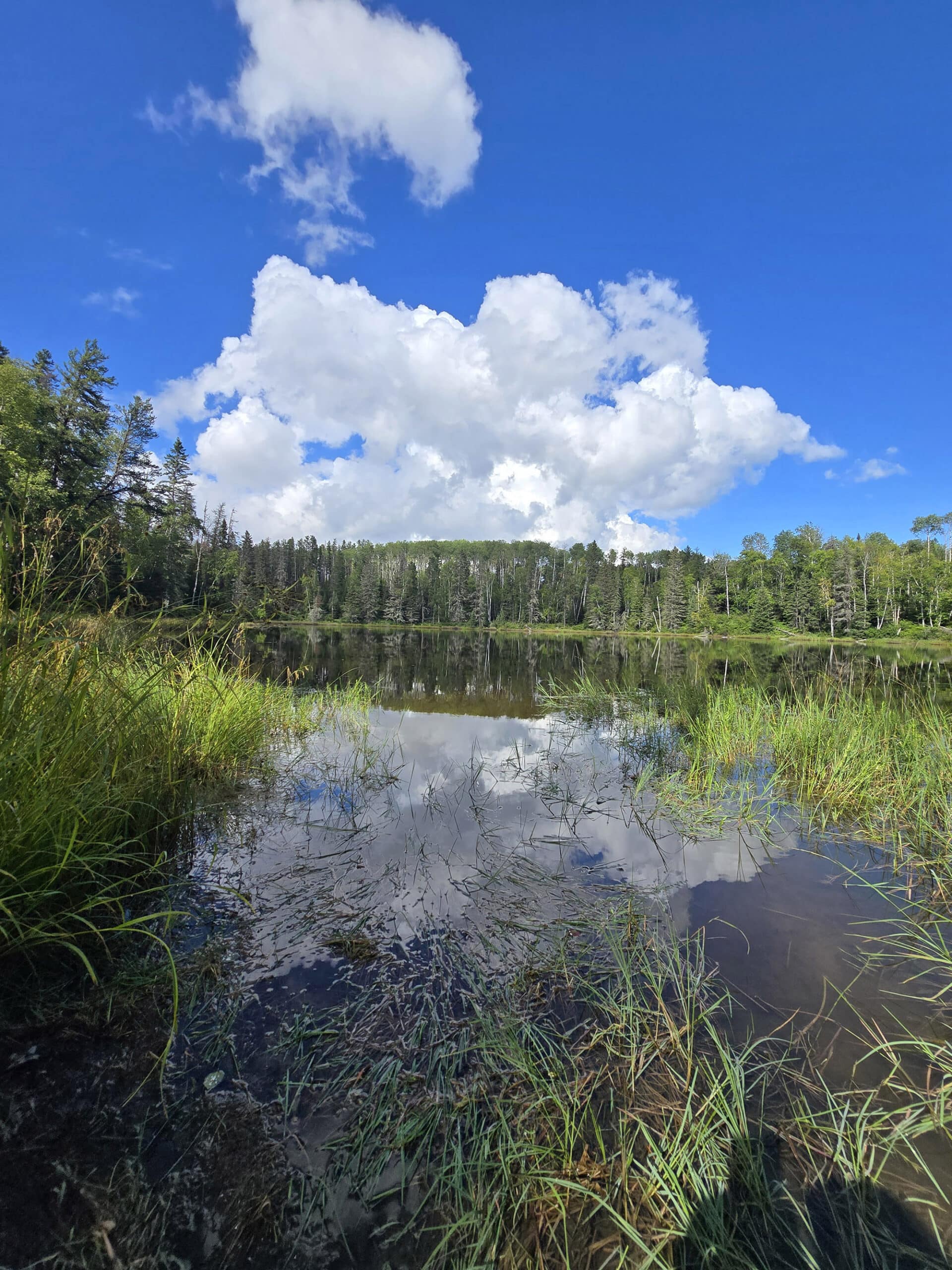 A view over Heart Lake at Kettle Lakes Provincial park.