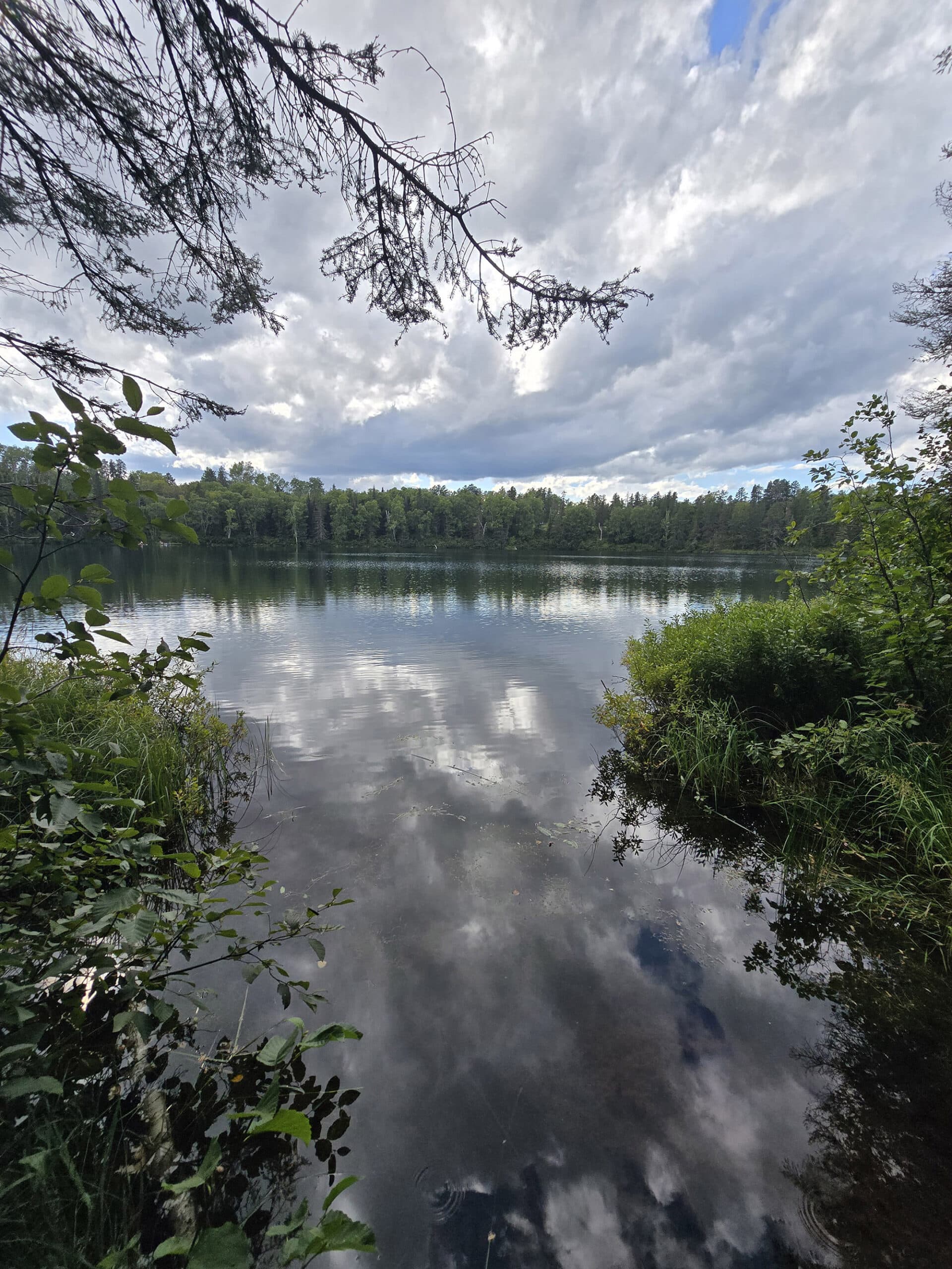 A view over Irrigation Lake at Kettle Lakes Provincial park.