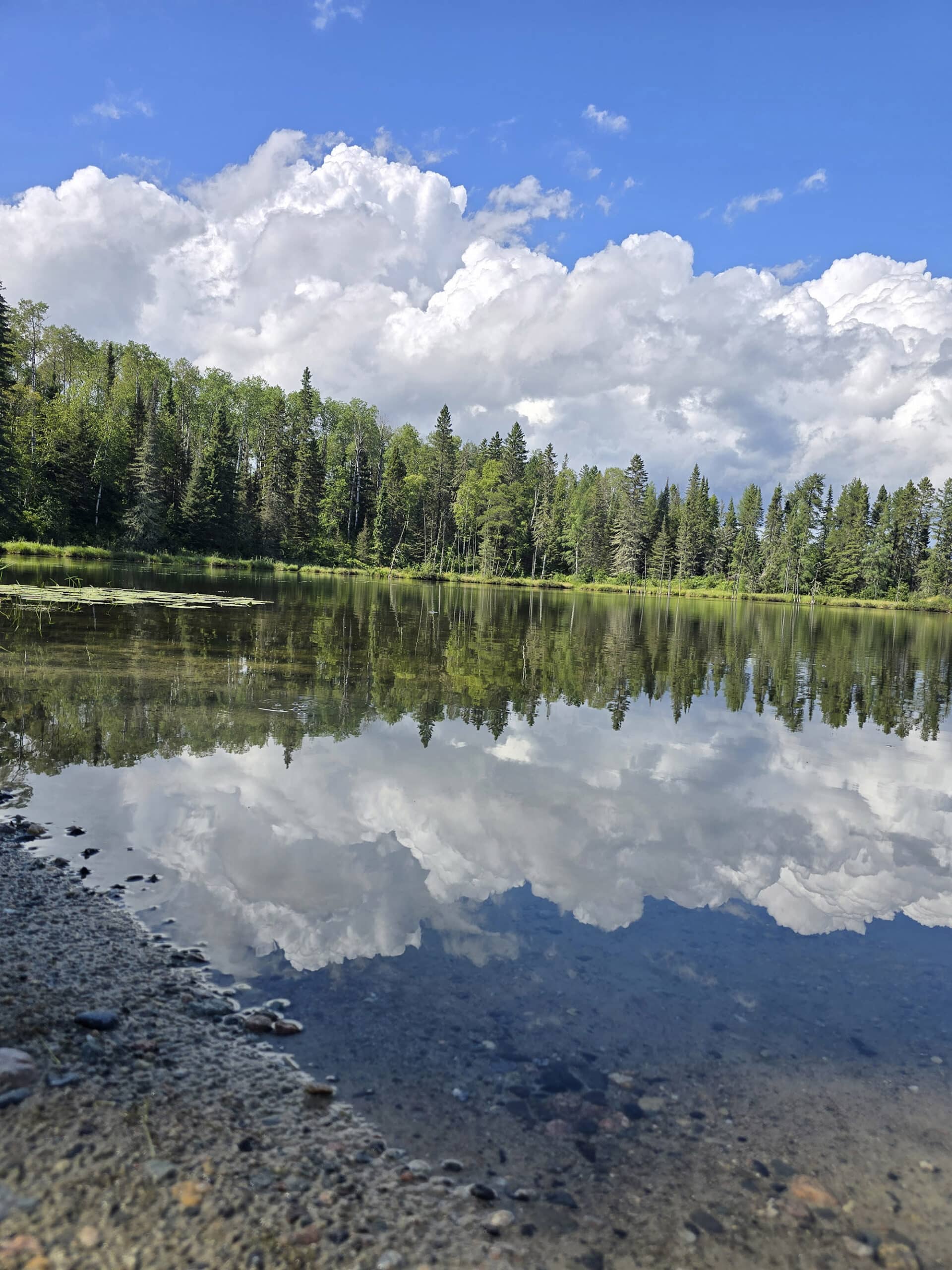 A view over Hughes Lake at Kettle Lakes Provincial park.