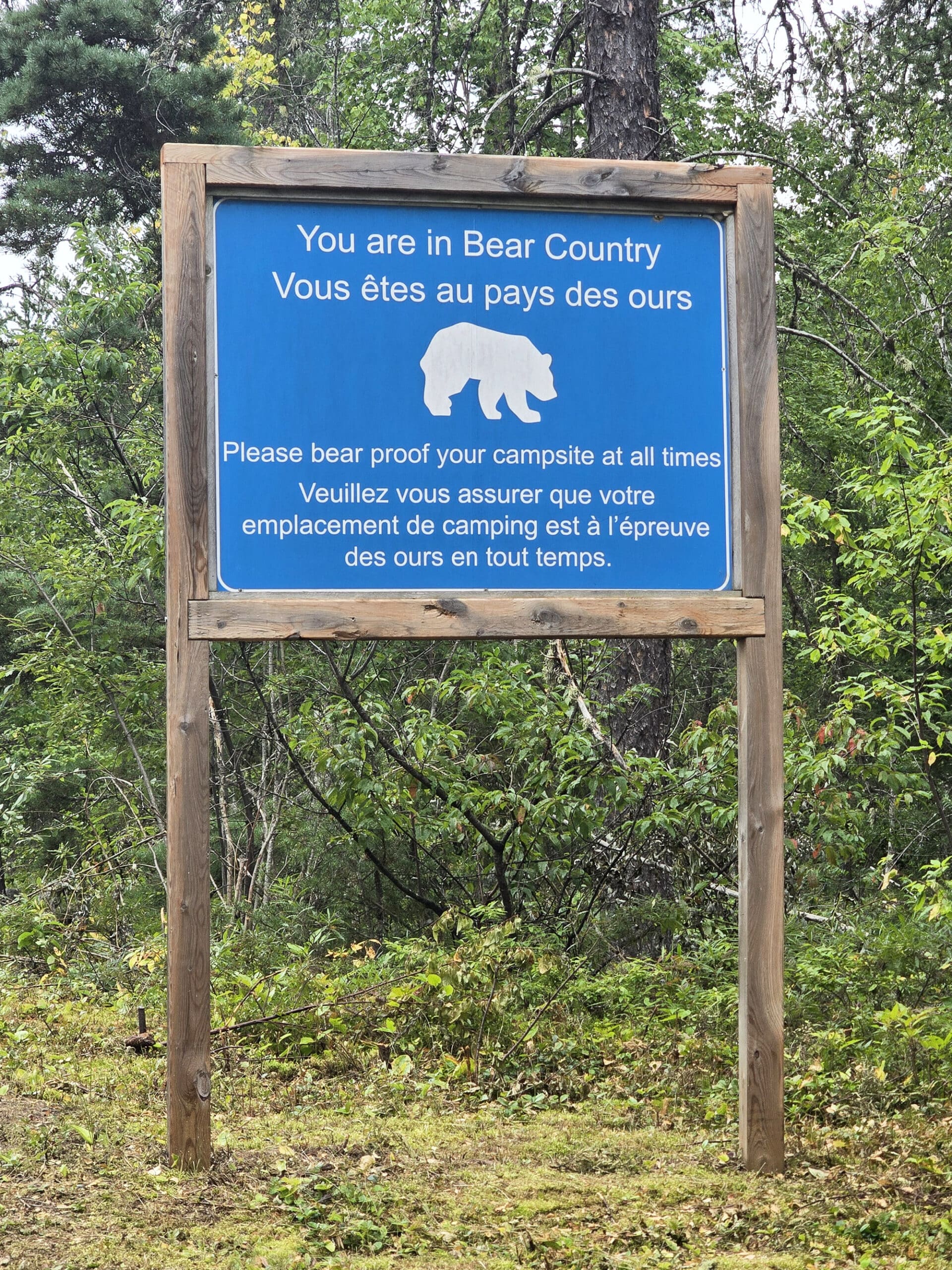 A blue road sign alerting that the read is in bear country.