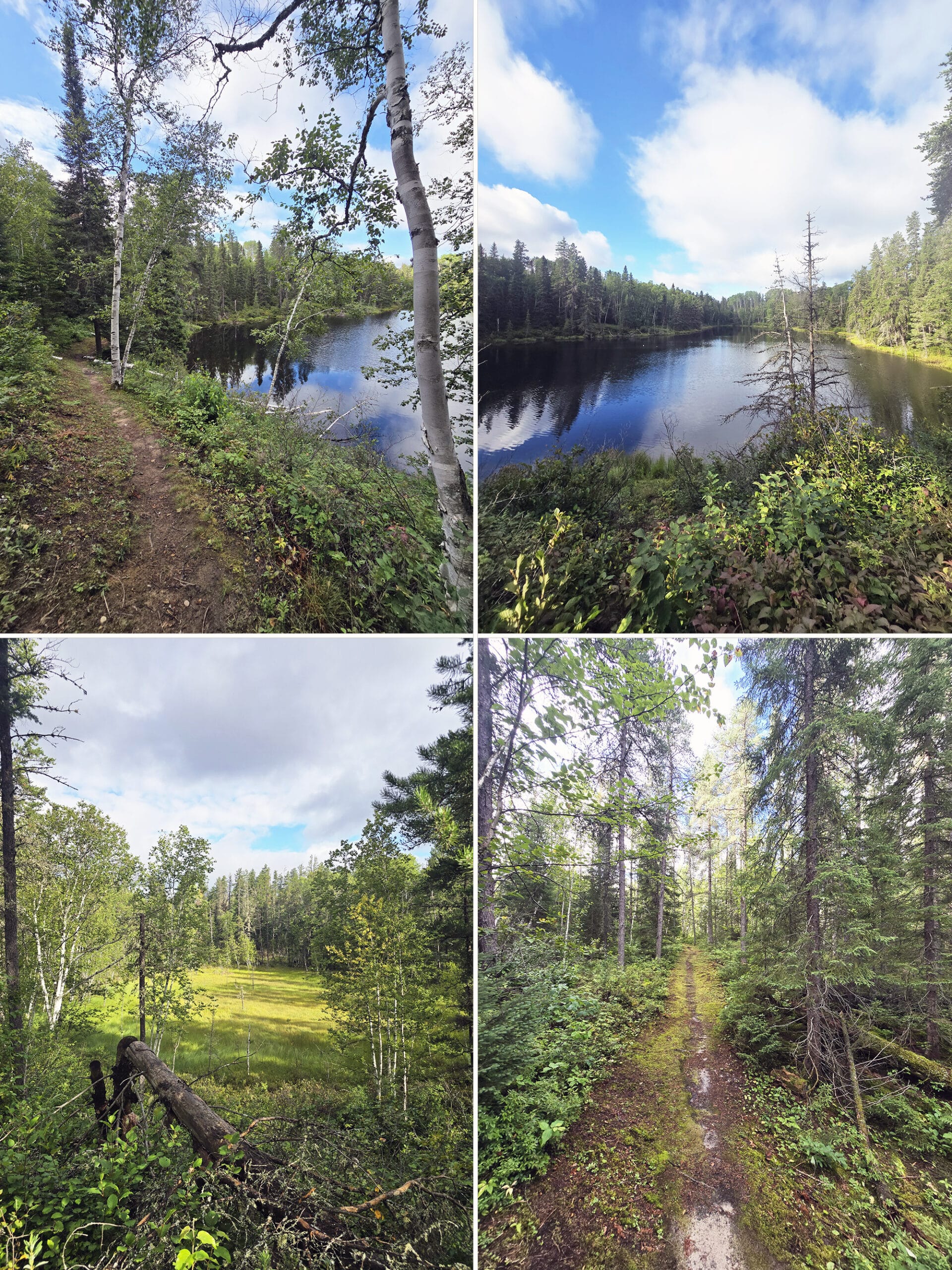 4 part image showing various views along the Kettle Trail at Kettle Lakes Provincial Park.