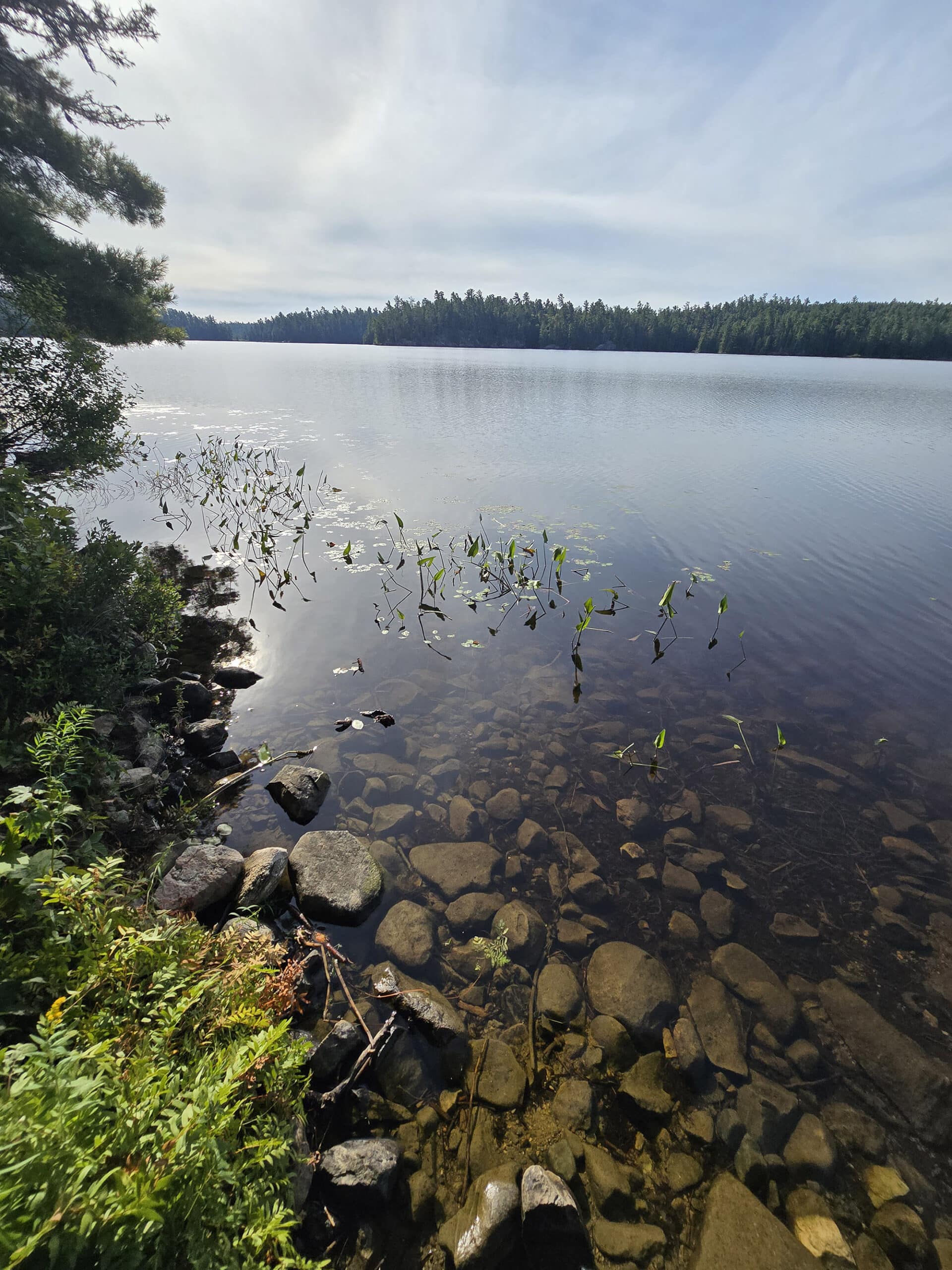 Marten River, on a calm sunny day.