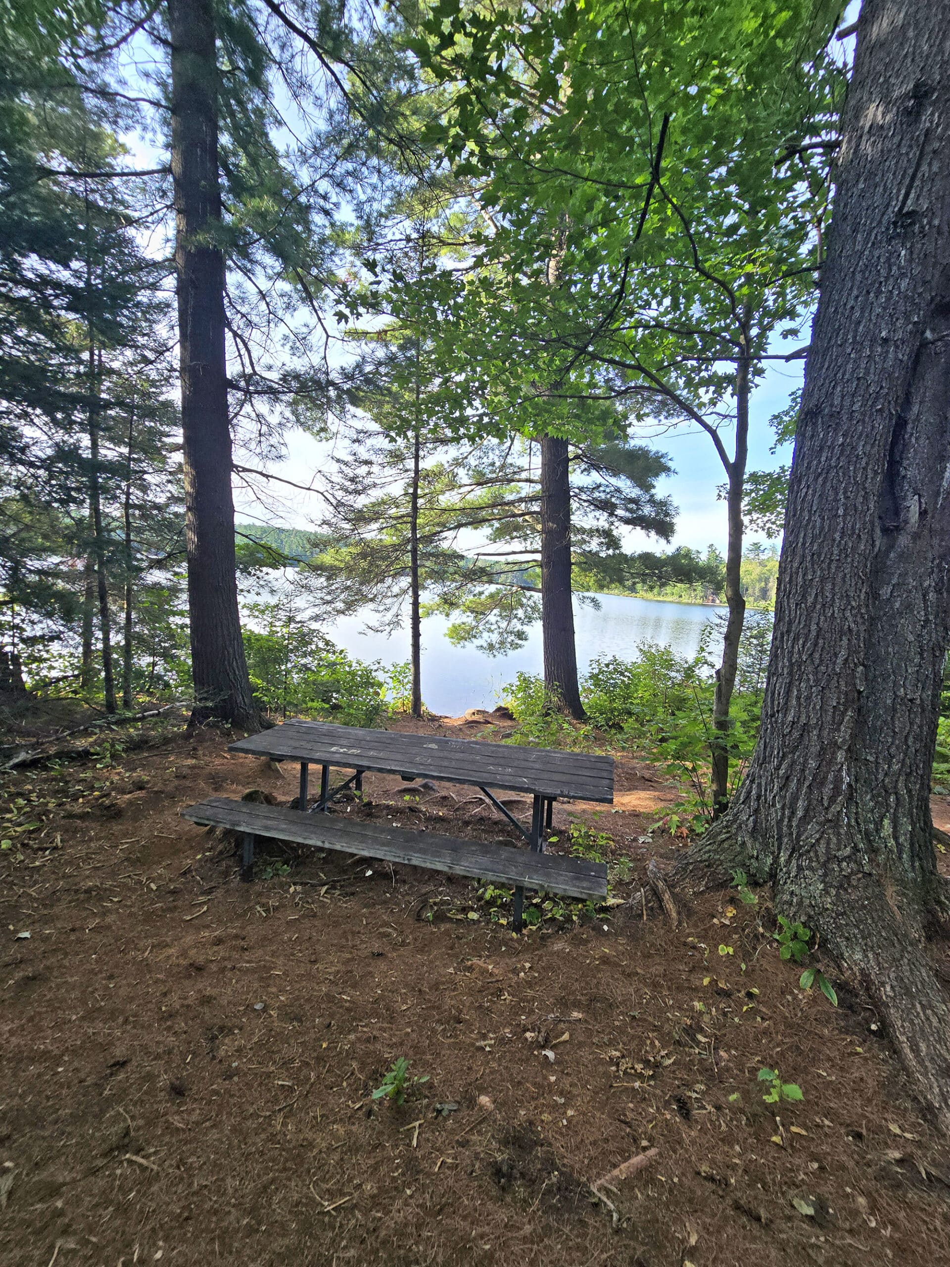 A picnic table overlooking Marten River.