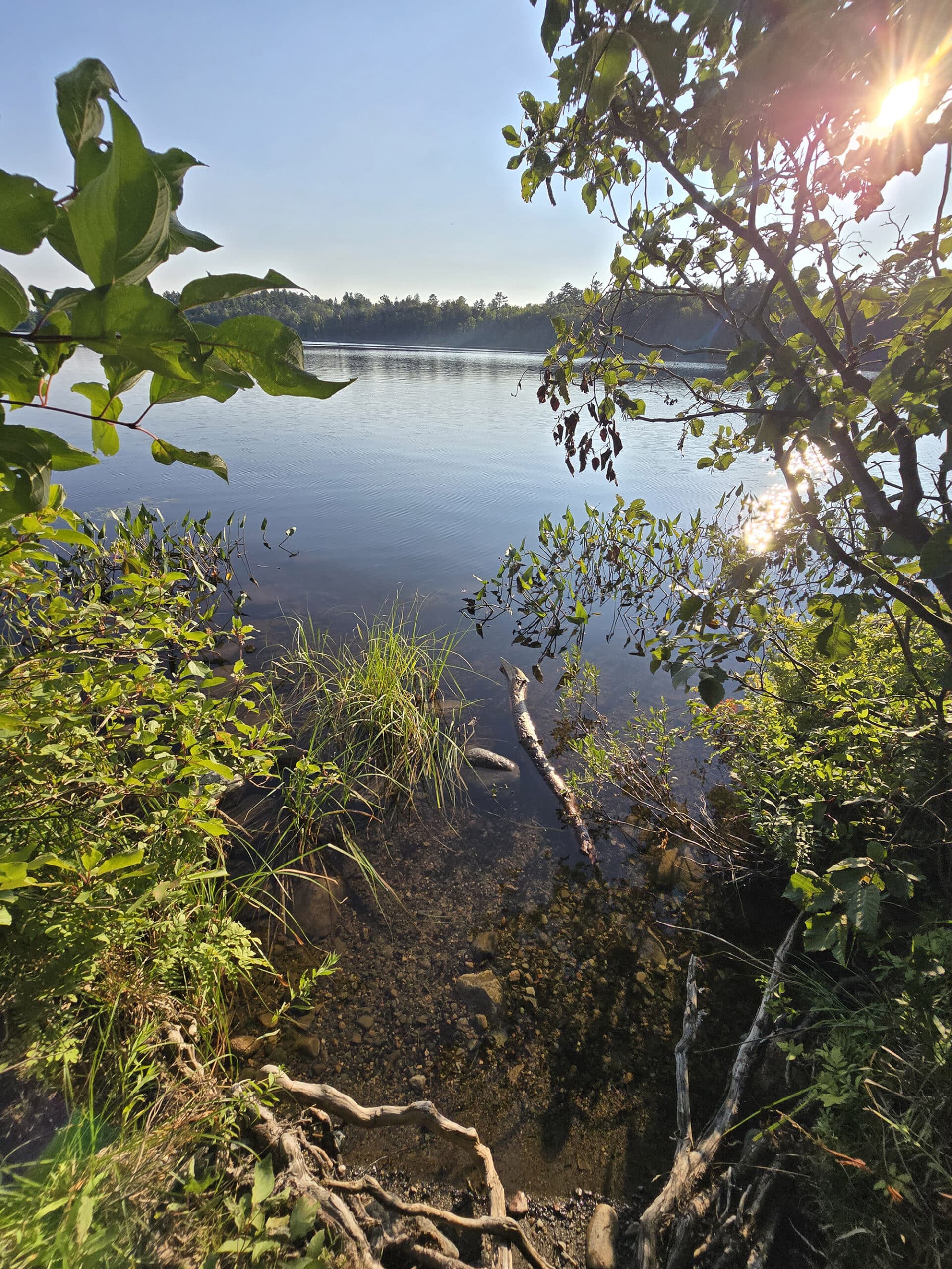 Marten River, on a calm sunny day.