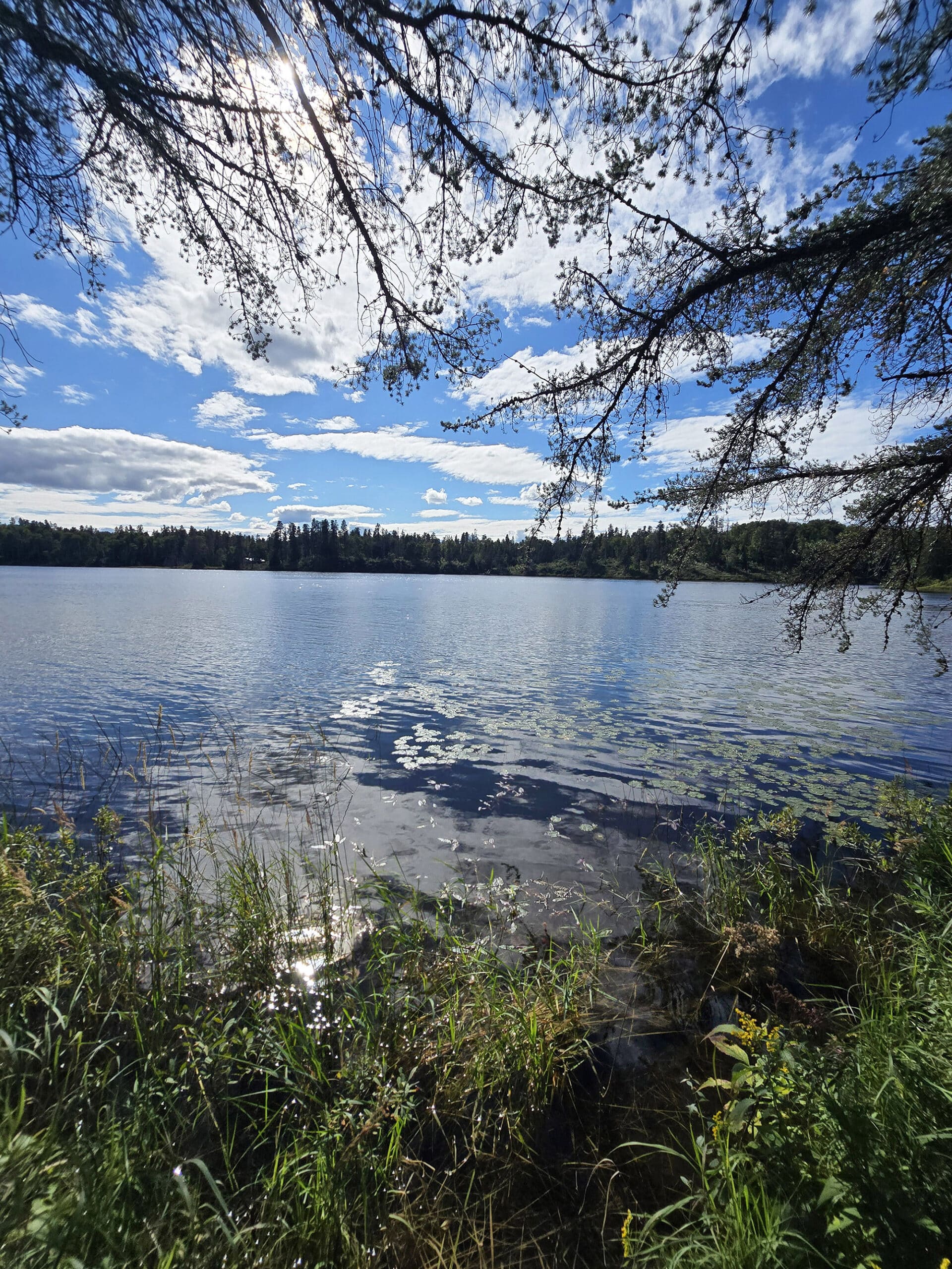 A view over a lake at Esker Lakes Provincial Park.