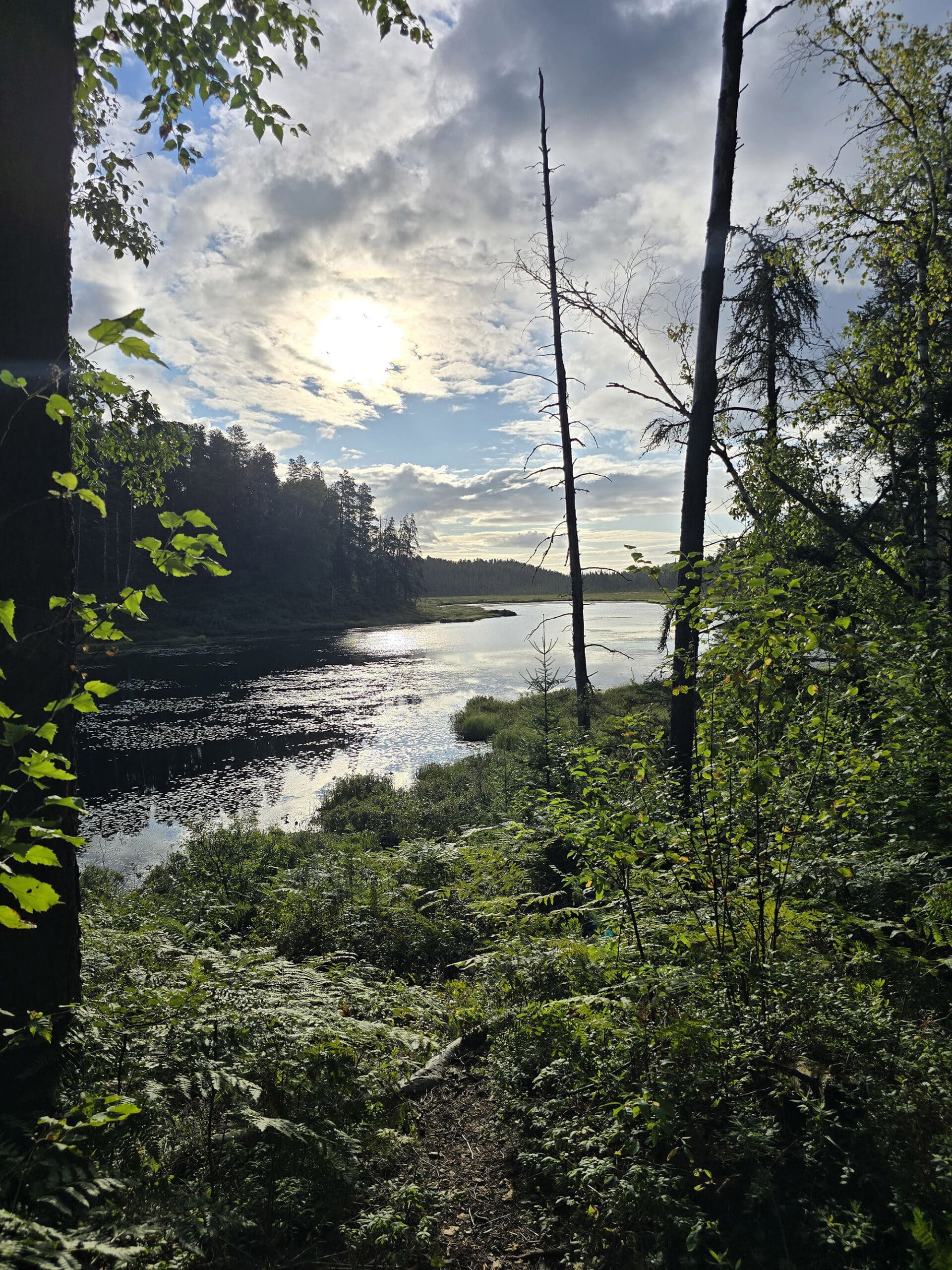 A sunrise view over a marshy lake at Esker Lakes Provincial Park.