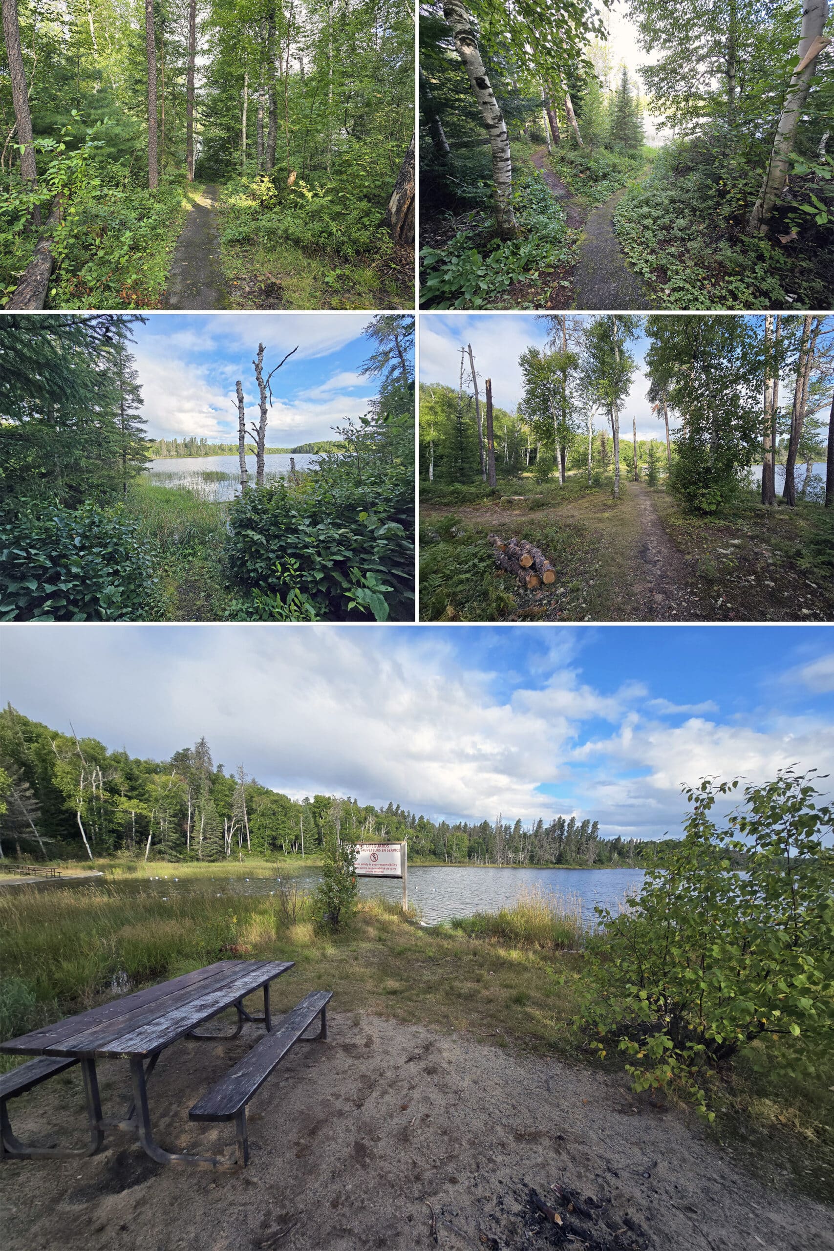 5 part image showing various views of the day use area at Esker Lakes Provincial Park.