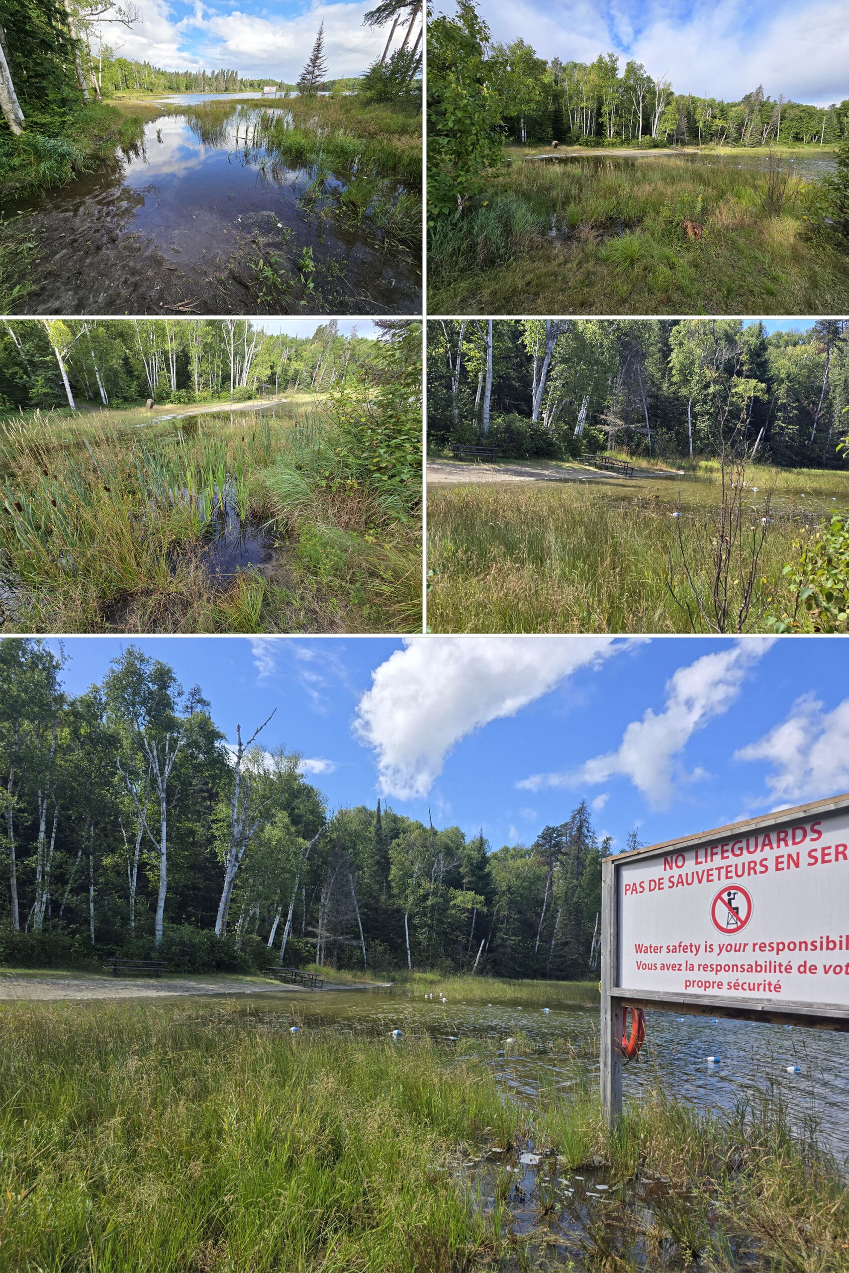 5 part image showing various views of the day use beach at Esker Lakes Provincial Park.