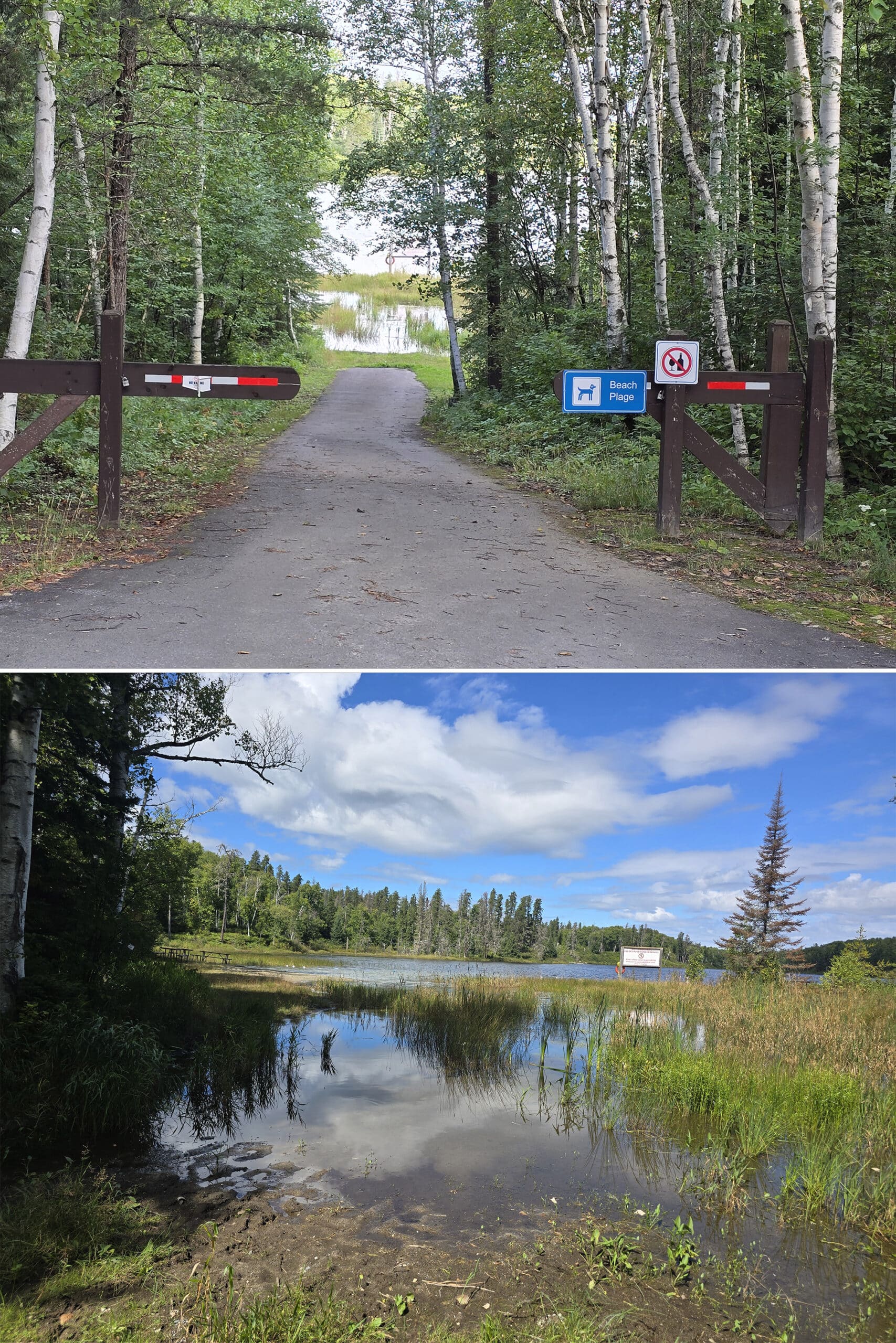 2 part image showing the Esker Lakes Provincial Park dog beach.