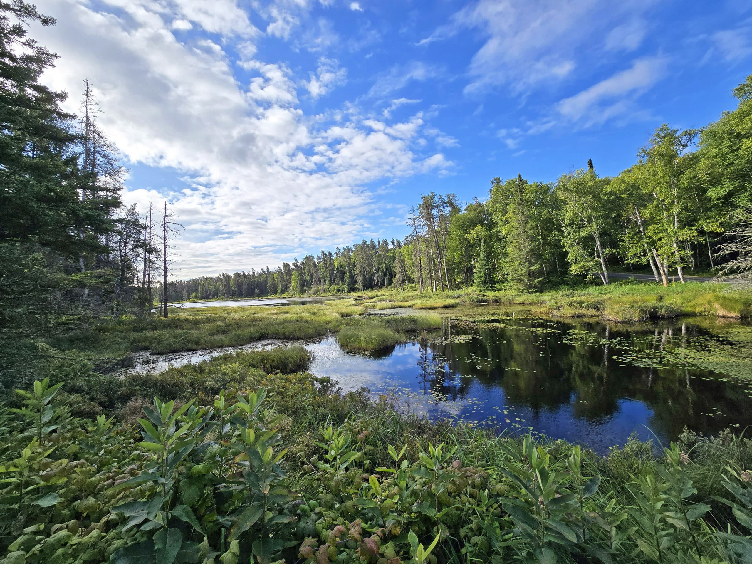 Sunrise over a marshy lake at esker lakes provincial park.