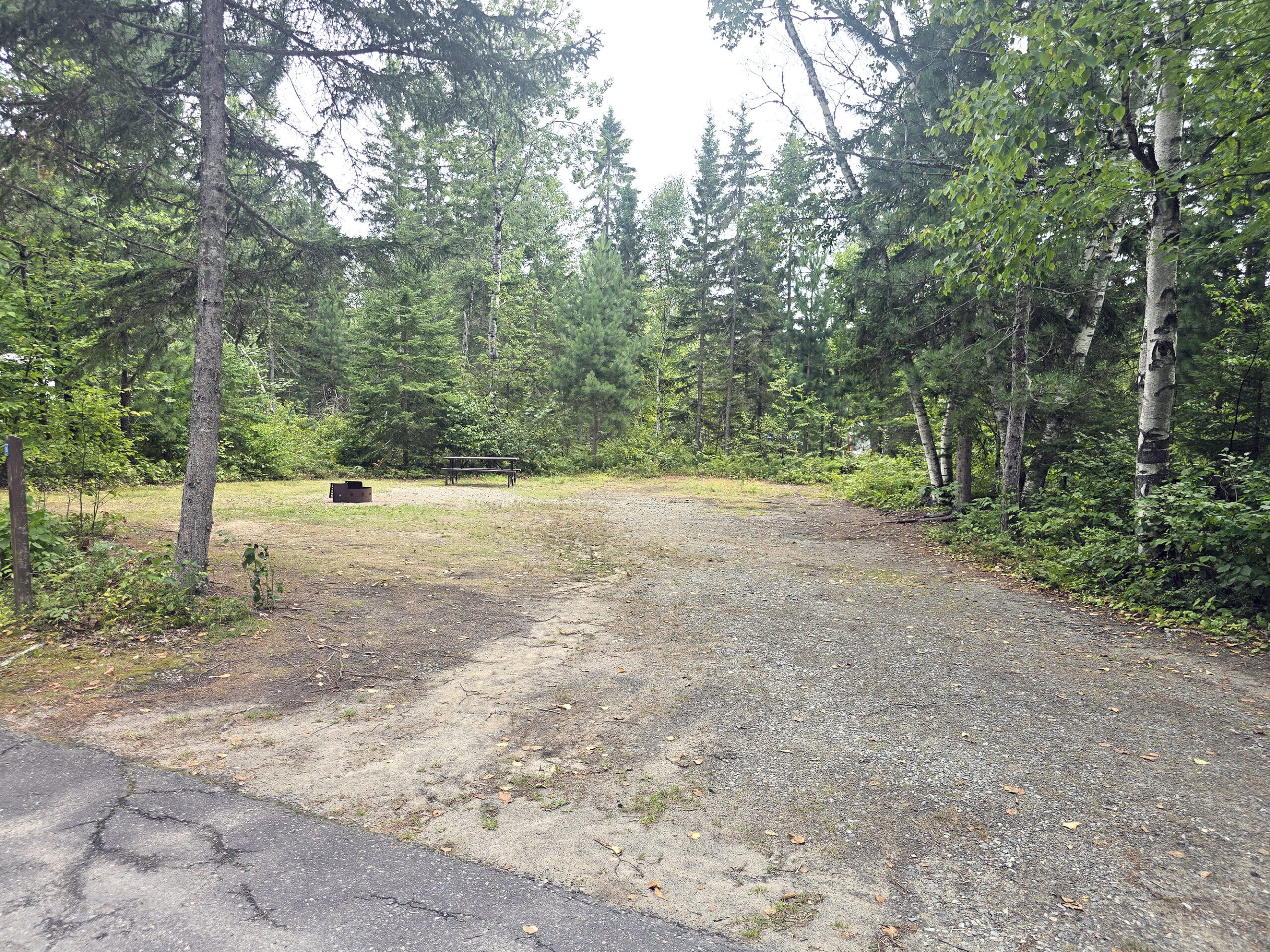 A large open campsite at esker lakes provincial park.