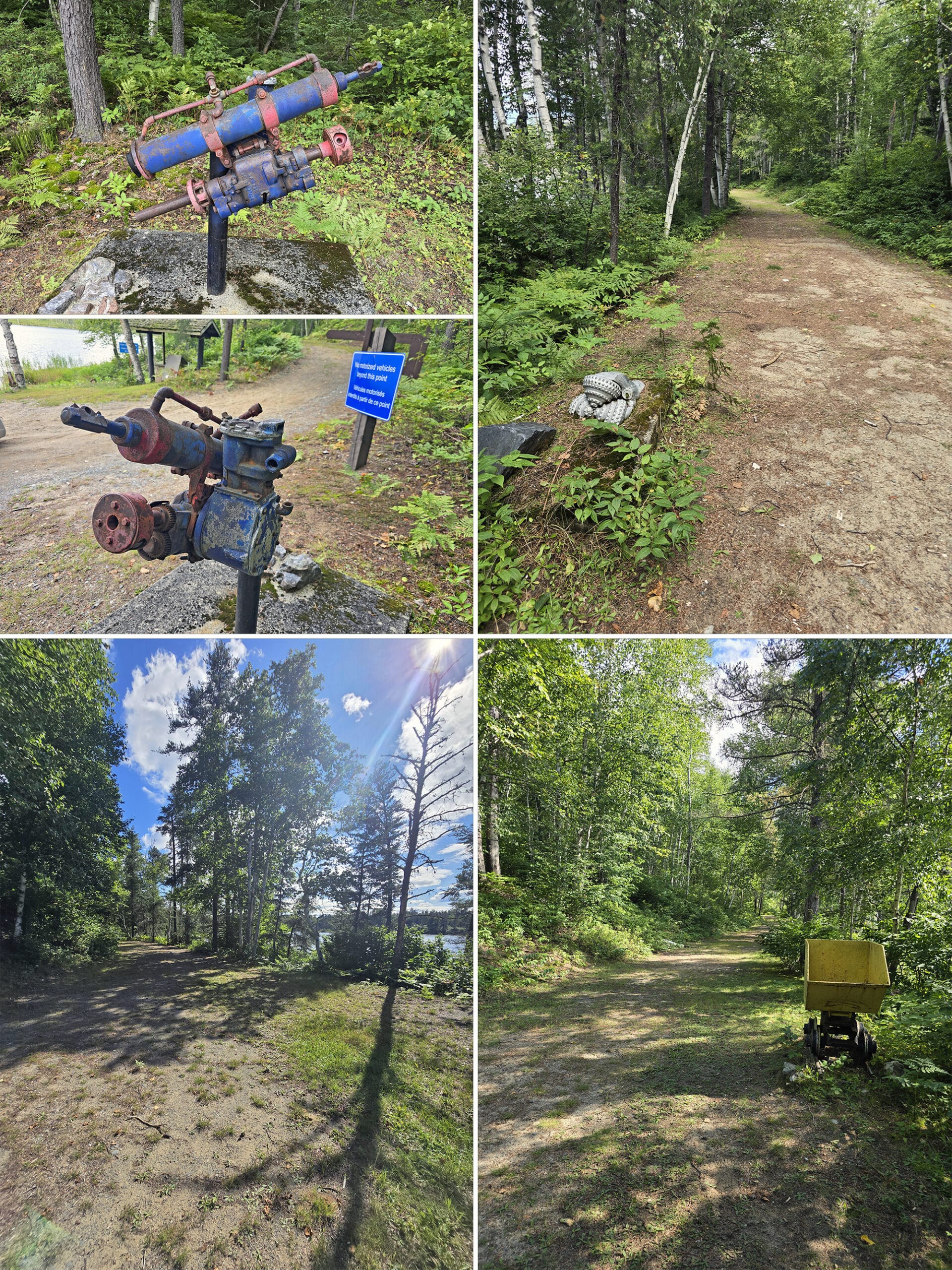 4 part image showing various views along the Prospectors Trail at Esker Lakes Provincial Park.