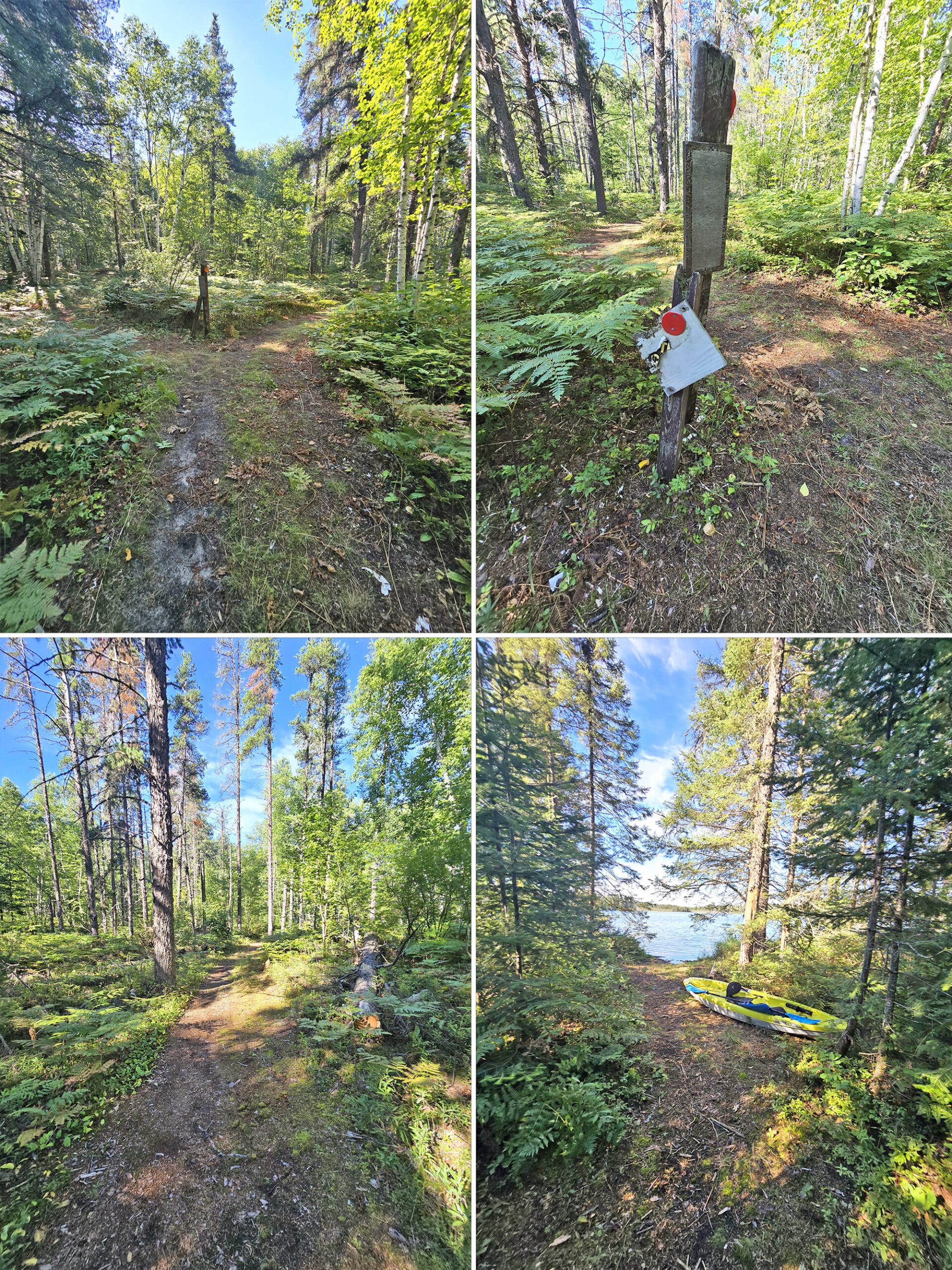 4 part image showing various views along the Trappers Trail at Esker Lakes Provincial Park.