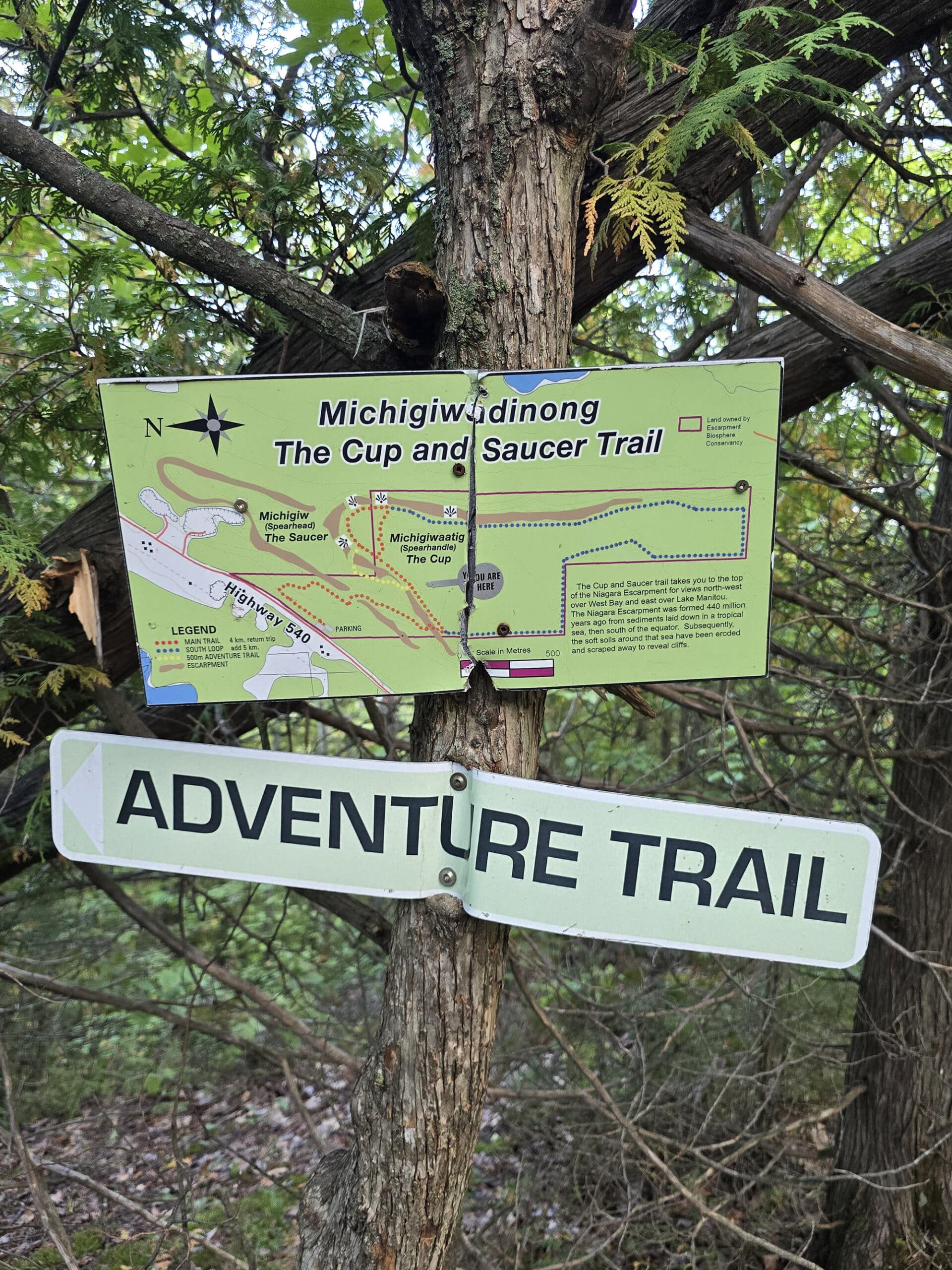 Signage on a tree that indicates the start of the adventure trail.