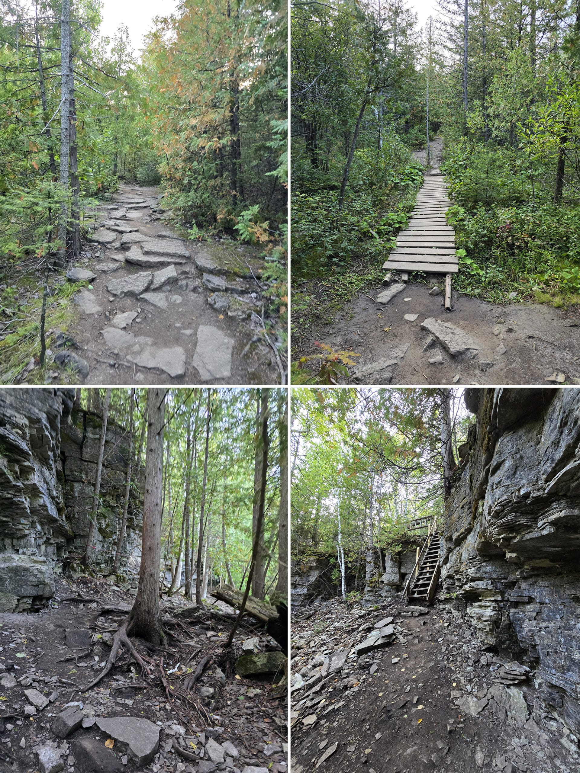 4 part image showing various views along the cup and saucer trail on manitoulin island.