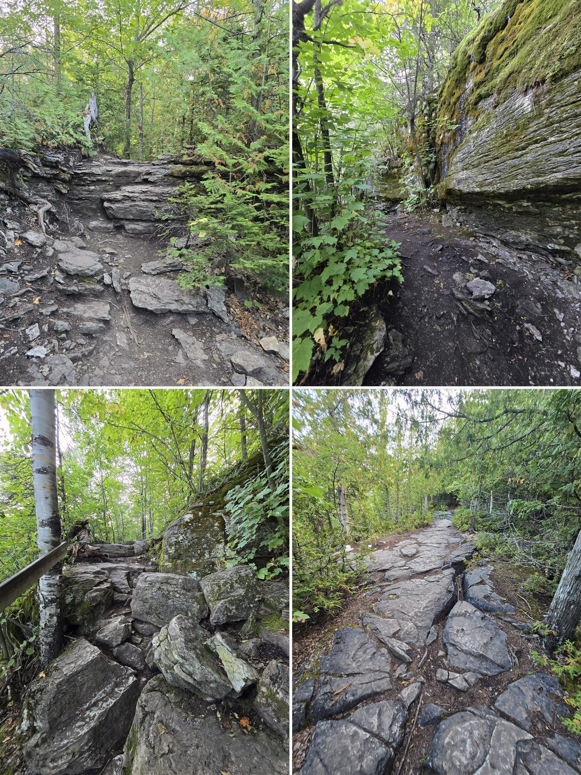 4 part image showing various views along the cup and saucer trail on manitoulin island.