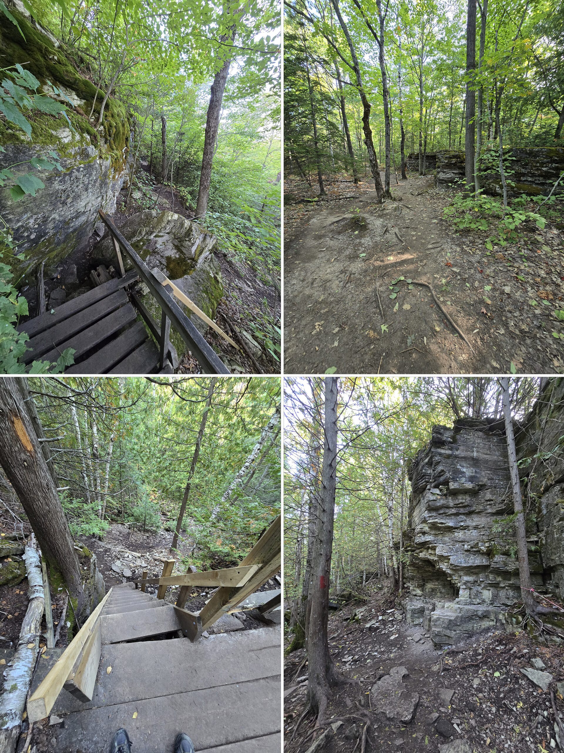4 part image showing various views along the cup and saucer trail on manitoulin island.