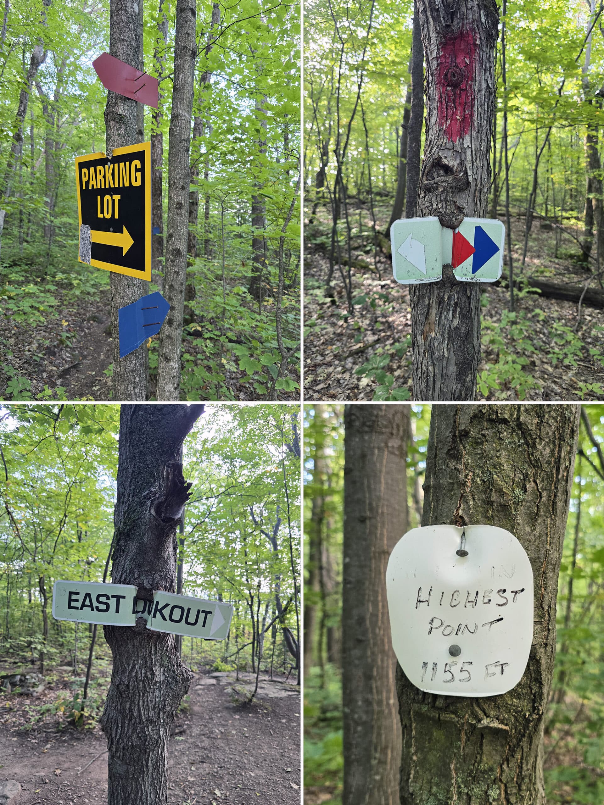 4 part image showing various directional trail signage at the cup and saucer trail.