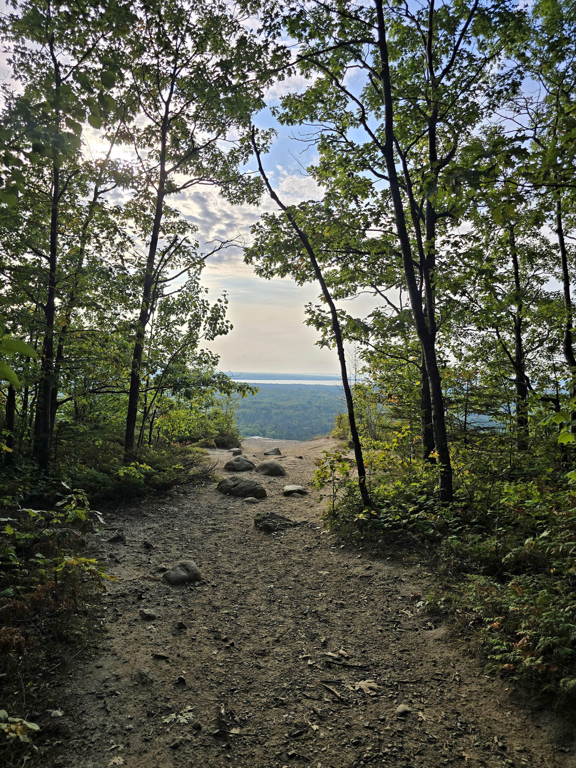 A trail leading out to a clearing on a cliff.