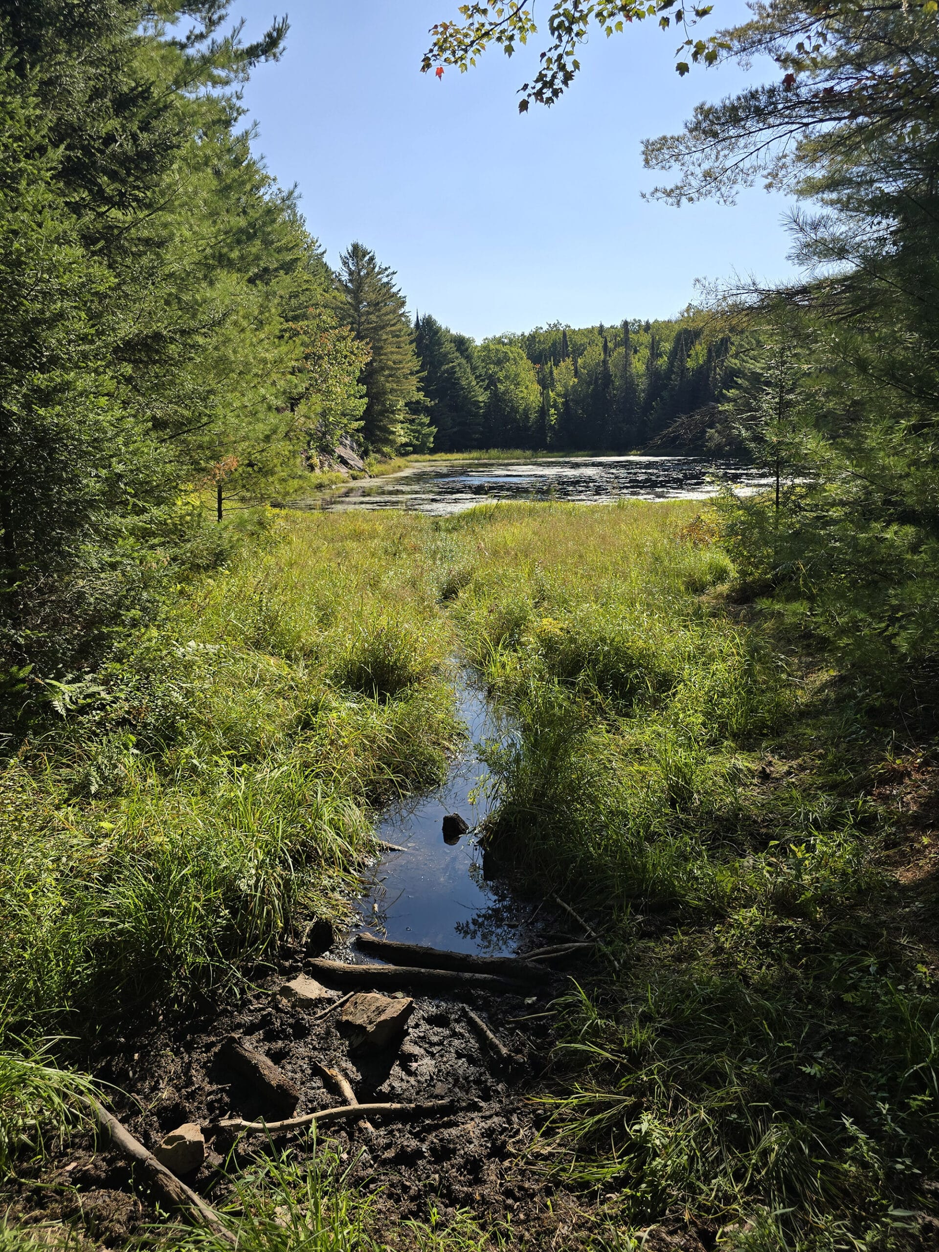 A view over Amber lake at Restoule Provincial Park.