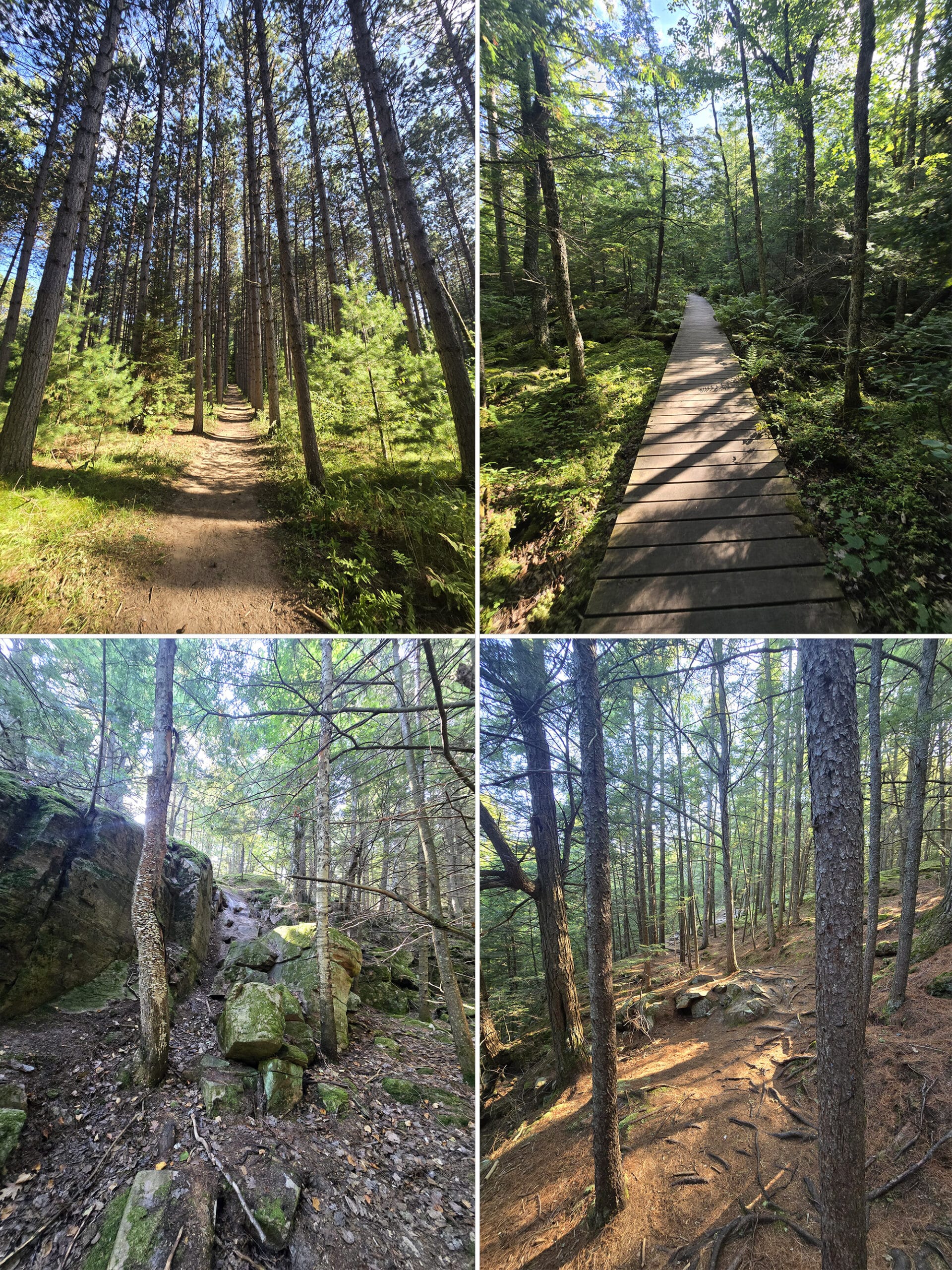 4 part image showing various views of the Tower Trail at Restoule Provincial Park.