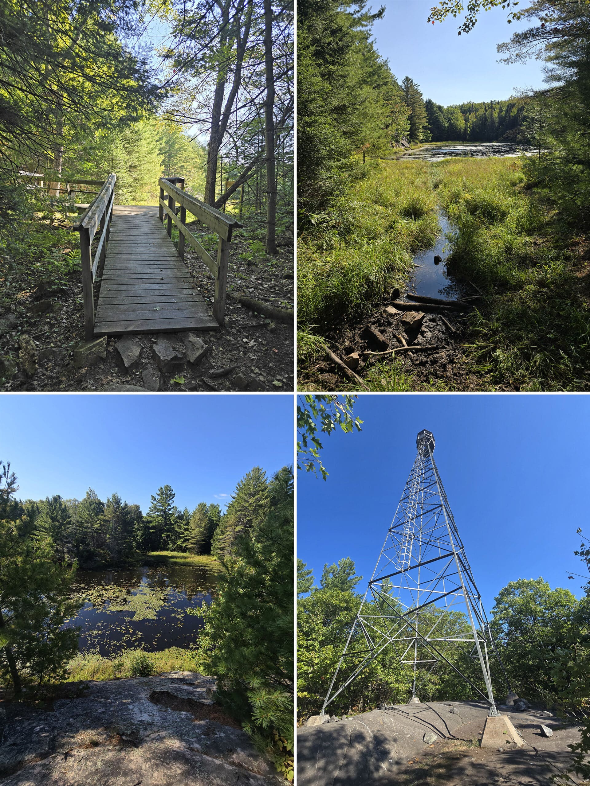 4 part image showing various views of the Tower Trail at Restoule Provincial Park.