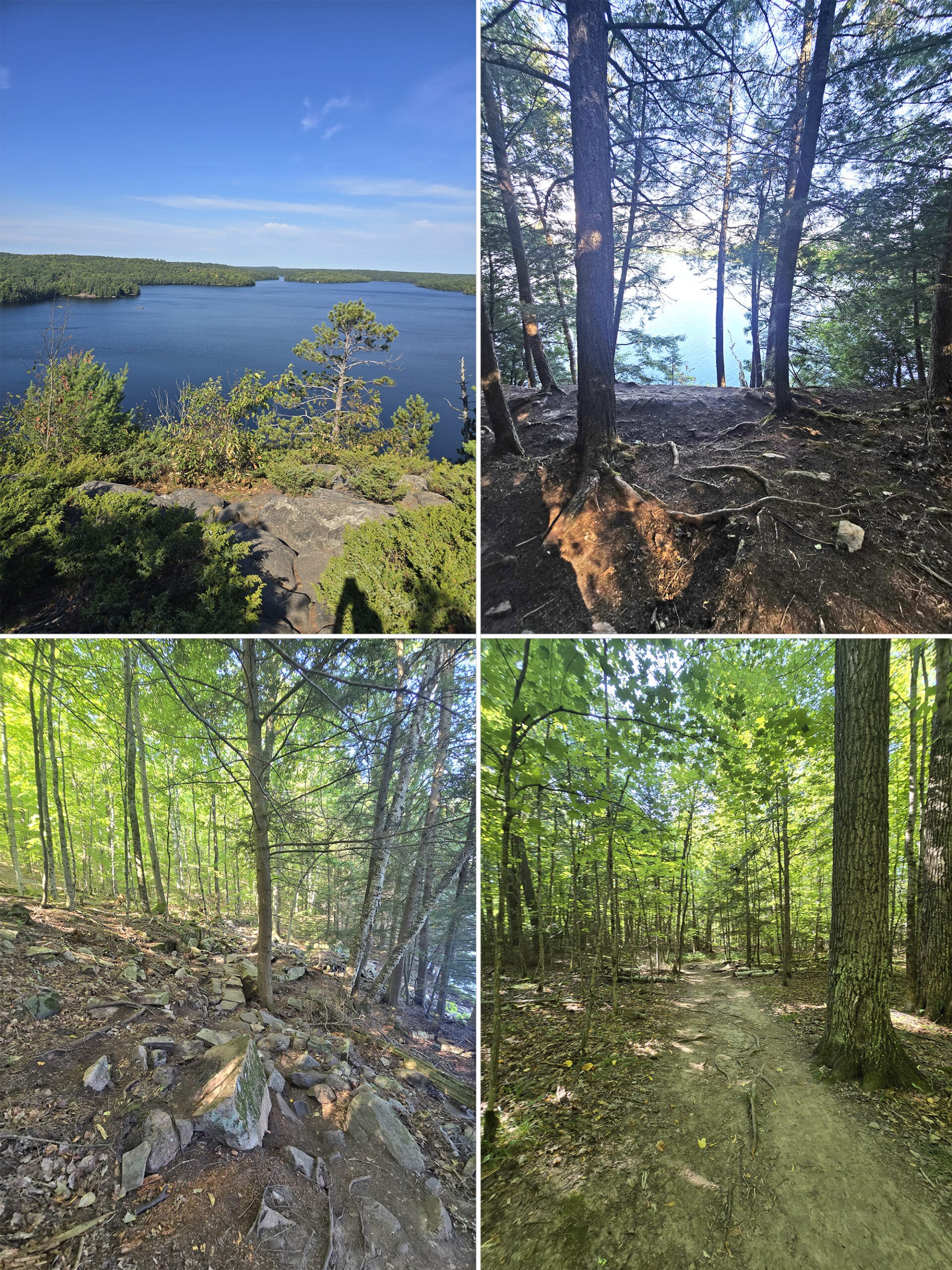 4 part image showing various views of the Tower Trail at Restoule Provincial Park.