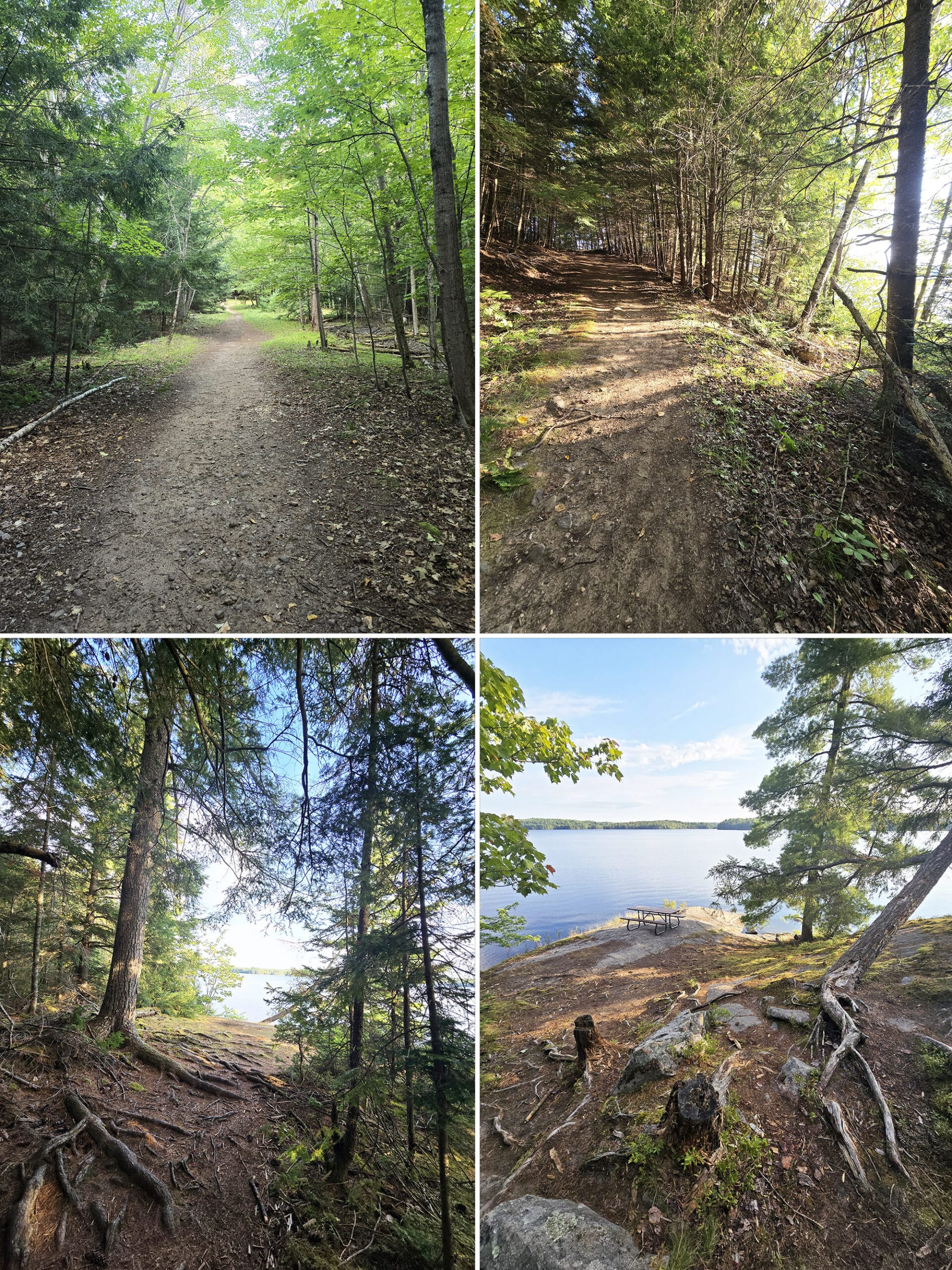 4 part image showing various views of the Rangers Point Trail at Restoule Provincial Park.