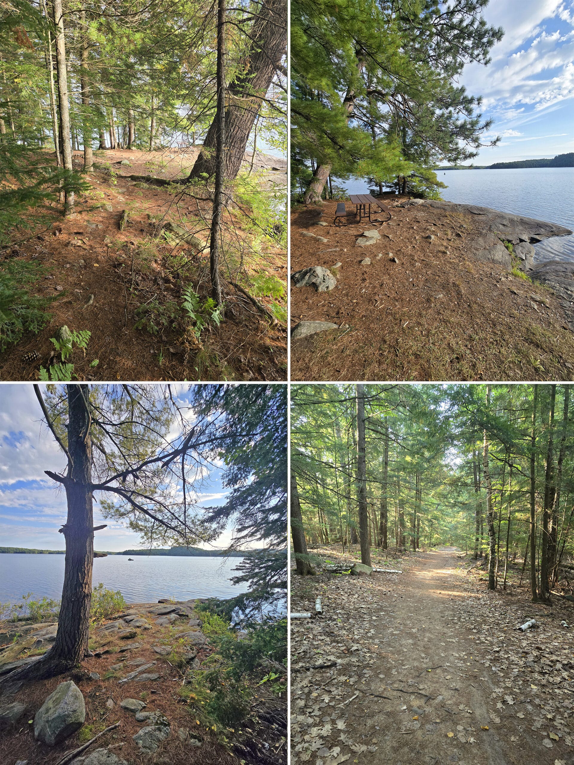 4 part image showing various views of the Rangers Point Trail at Restoule Provincial Park.