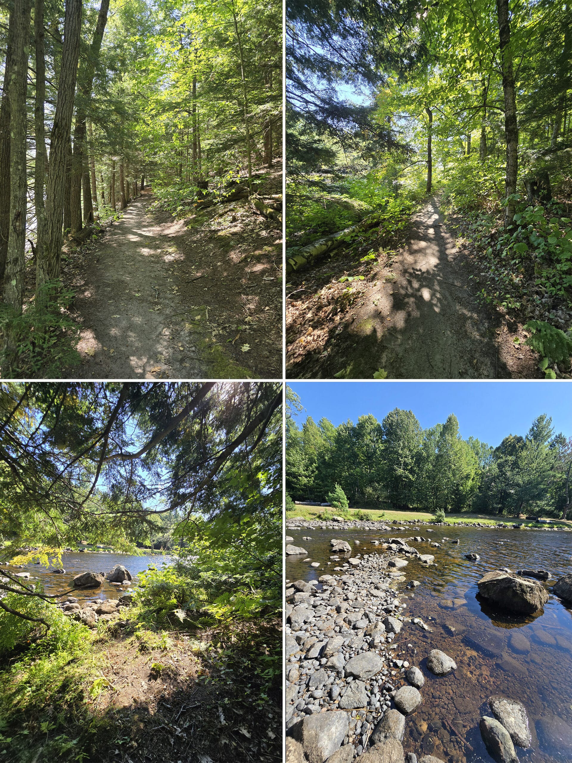 4 part image showing various views of the River Trail at Restoule Provincial Park.
