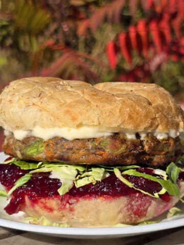 A Thanksgiving turkey burger with cranberry sauce, stuffing seasoned turkey patty with celery and carrot visible, shredded brussels sprouts, and mayonnaise.