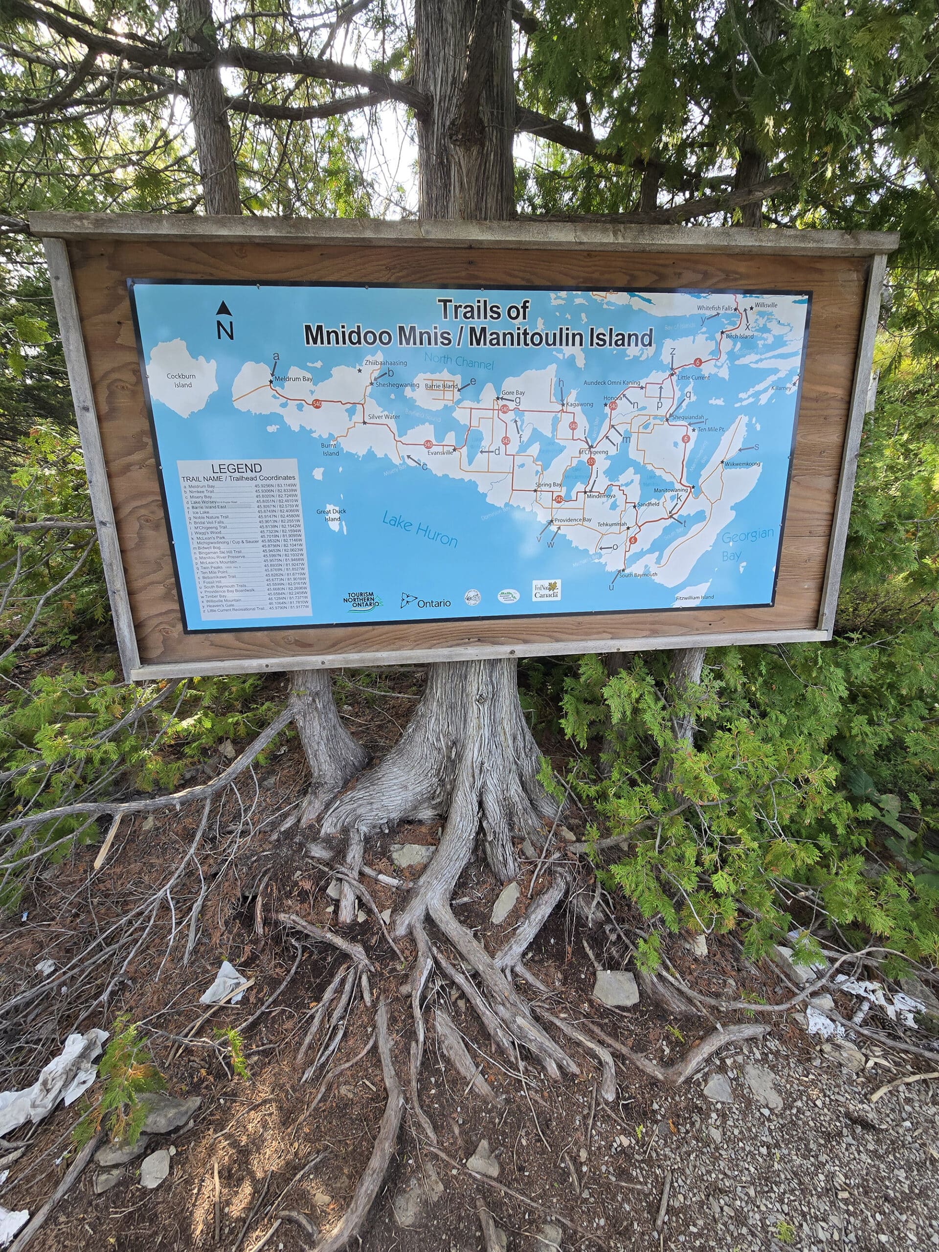 A large map of the trails of Manitoulin Island, mounted on a large tree with knotted roots exposed.