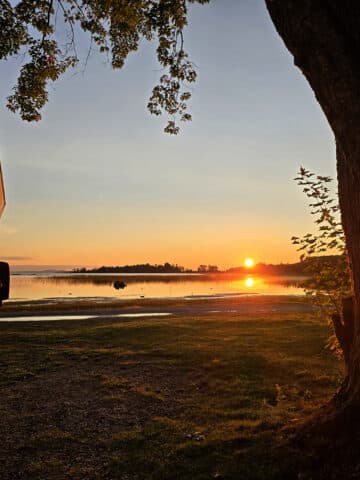 A sunrise with an rv and a tree in the foreground.