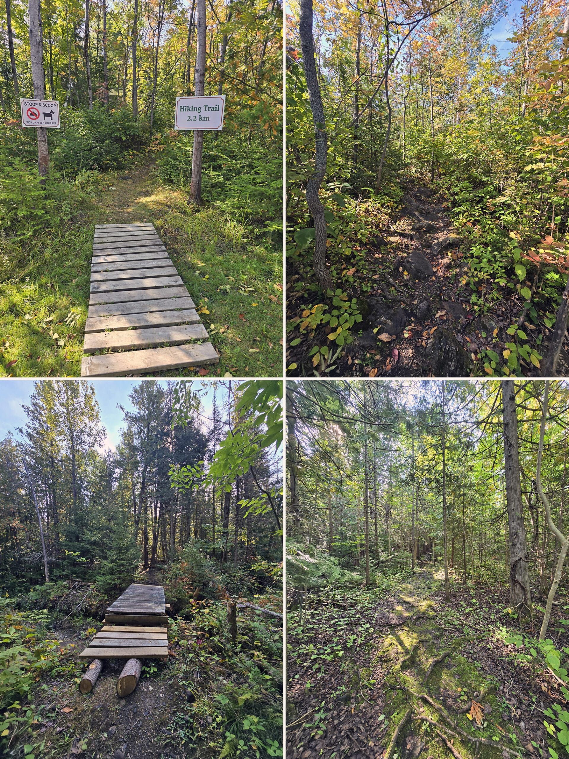 4 part image showing various views of the hiking trail at Batman’s Cottages and Campground on Manitoulin Island.