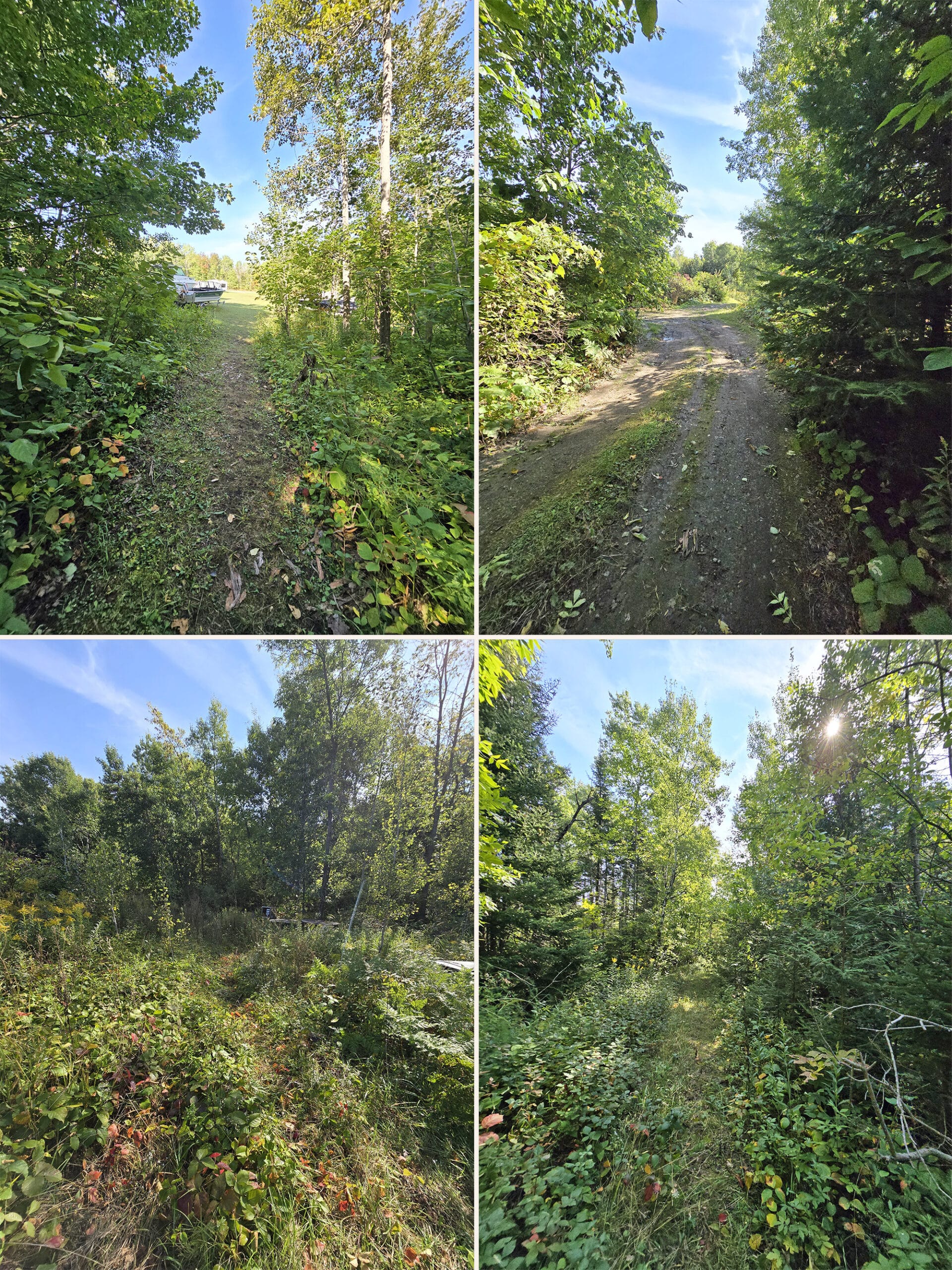 4 part image showing various views of the hiking trail at Batman’s Cottages and Campground on Manitoulin Island.