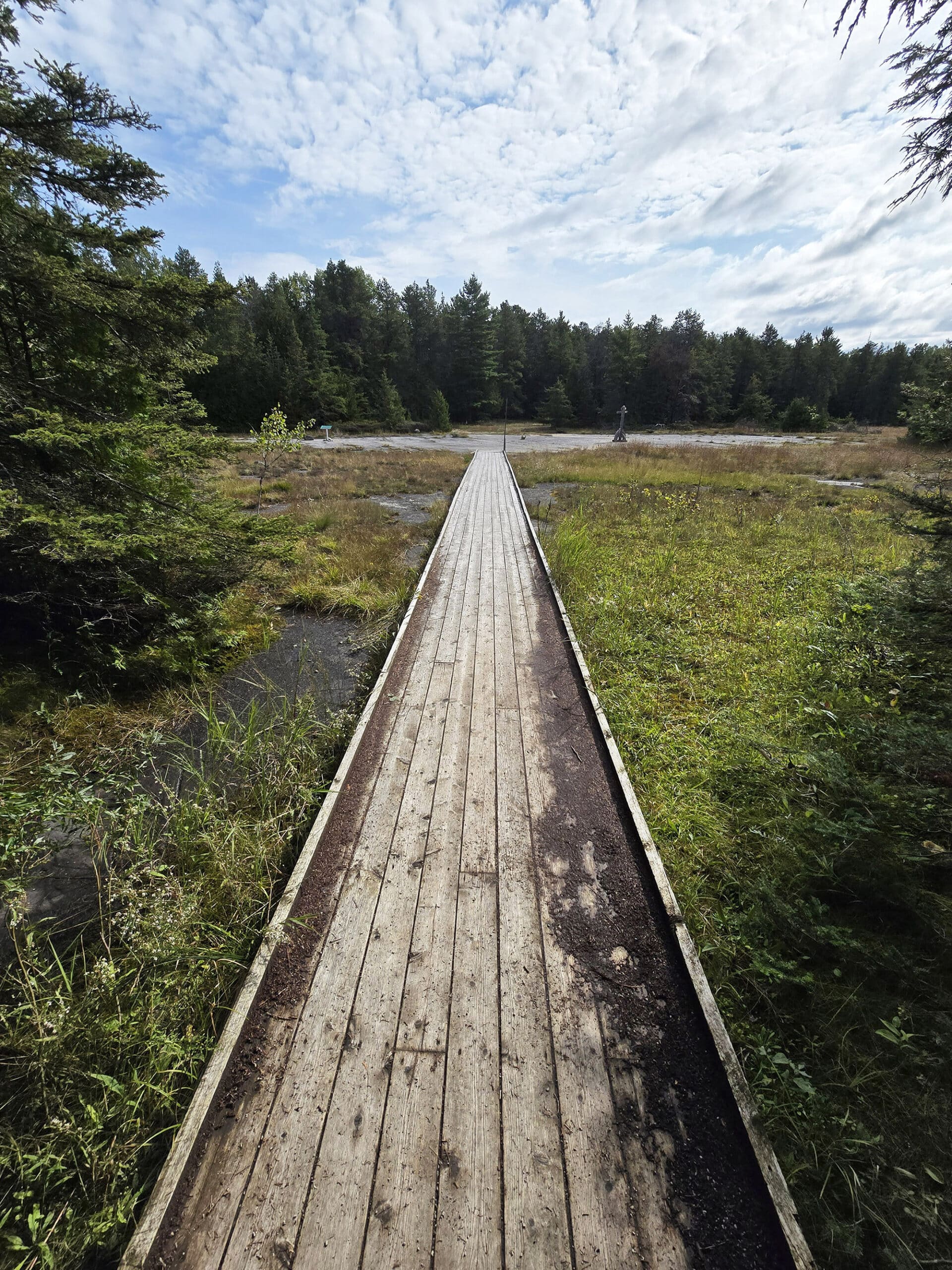 A boardwalk extending onto alvar pavements at Misery Bay Provincial Park.