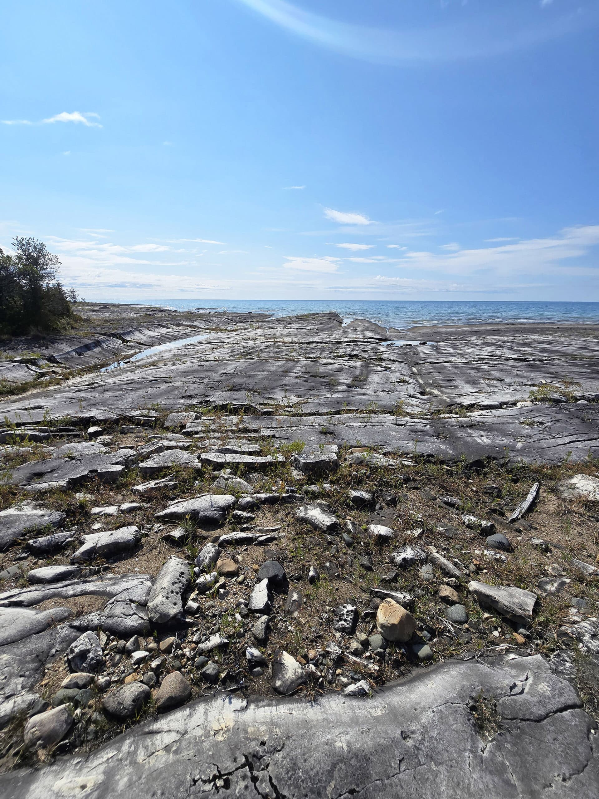 A coastal alvar beach at Misery Bay Provincial Park.