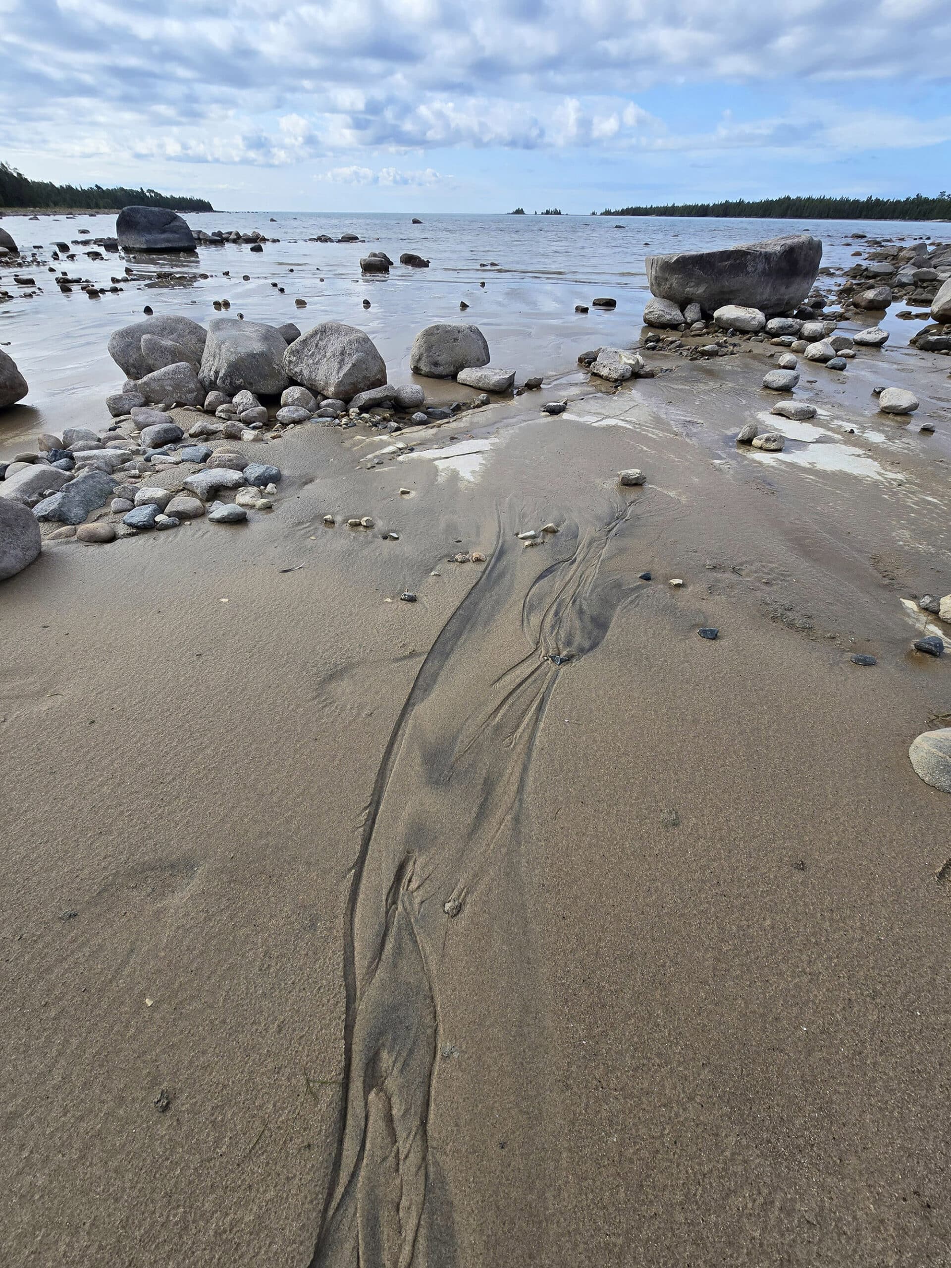 A coastal alvar beach at Misery Bay Provincial Park.