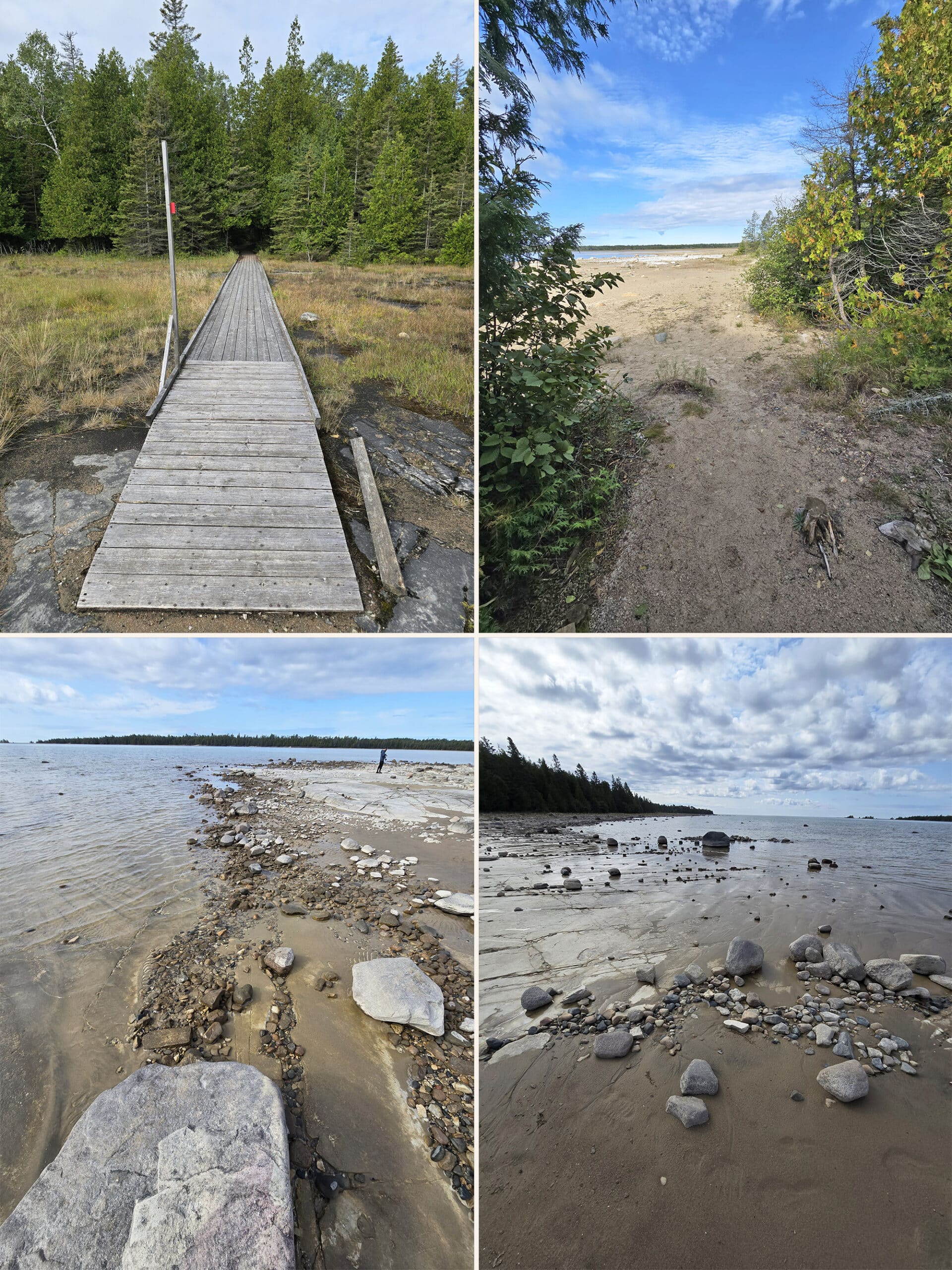 4 part image showing various views along the Coastal Alvar Trail at Misery Bay Provincial Park.