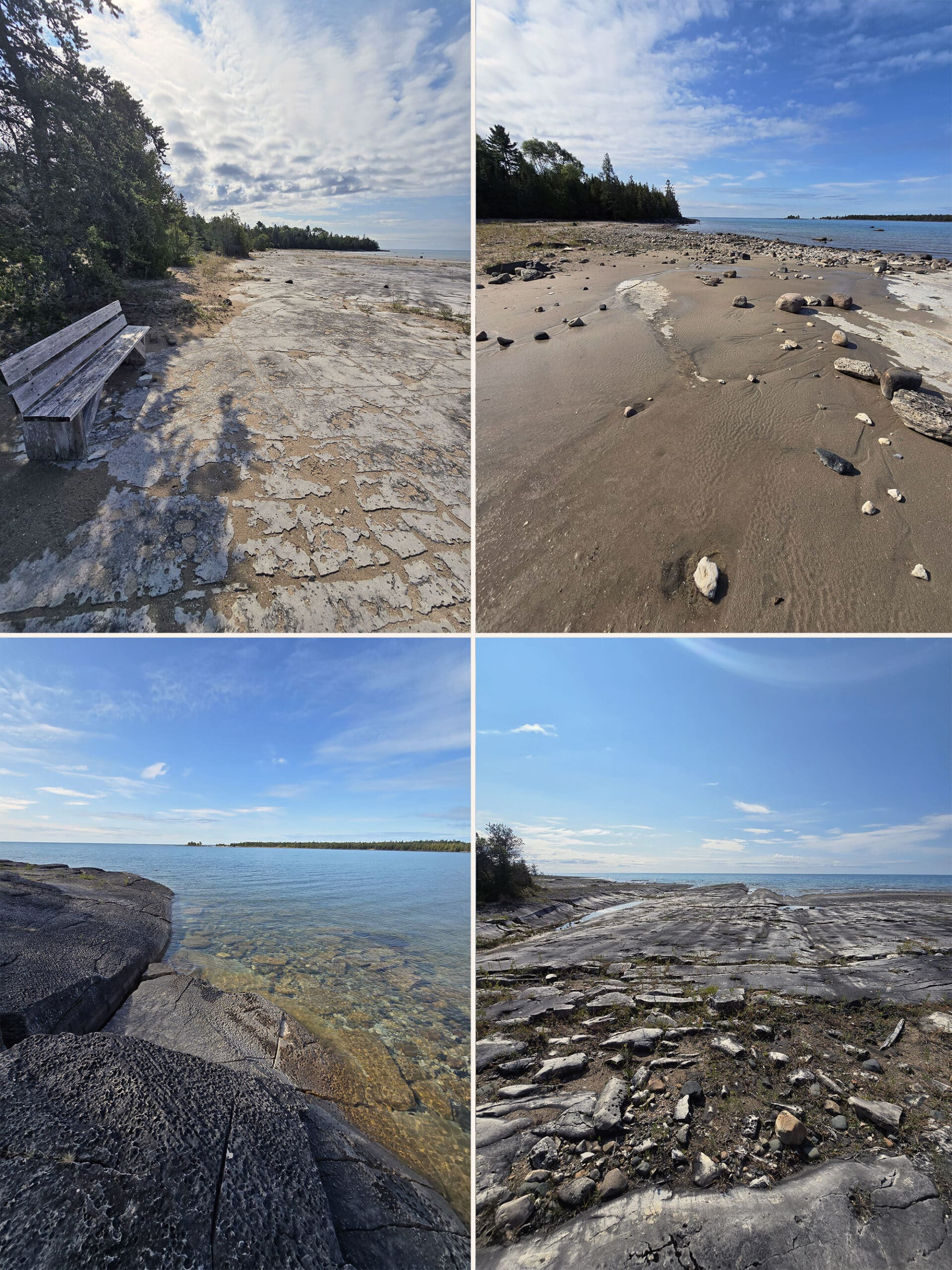 4 part image showing various views along the Coastal Alvar Trail at Misery Bay Provincial Park.